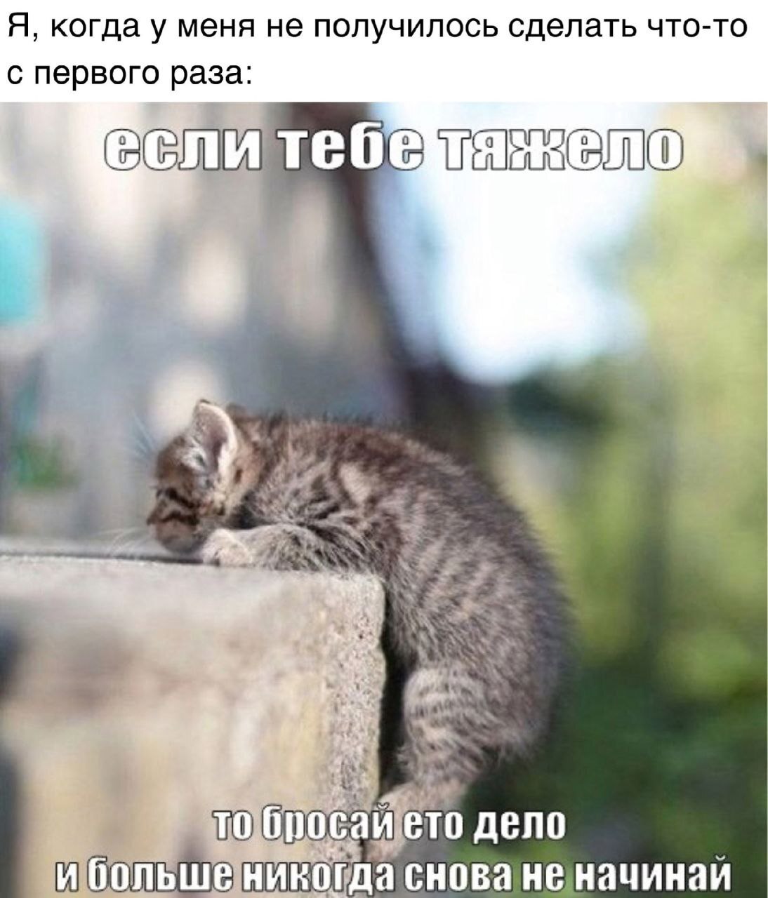 First time - Memes, Psychology, Психолог, Picture with text, Humor, First time, Dialog, Sad humor, Expectation and reality, Internal dialogue, cat, Confidence, Sadness, Telegram (link)