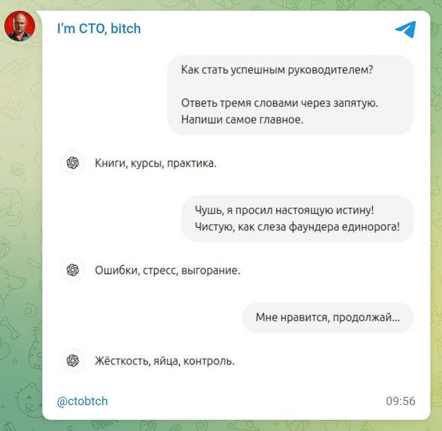 How to become a leader? - My, I`m CTO bitch, Humor, Screenshot, Books, Courses, Practice, Error, Stress, Emotional burnout, Rigidity, Eggs, Control, Chatgpt, Artificial Intelligence, Dialog