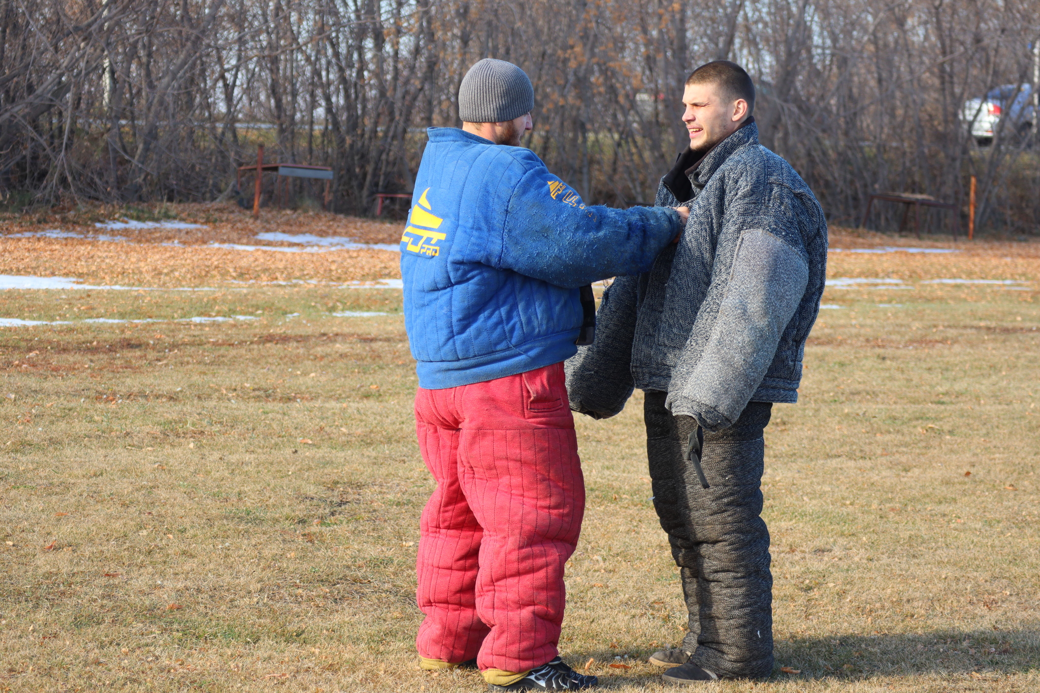 Dog training in Omsk - OCSSSS 19 - 10 - 2024 - Dog, Puppies, Omsk, Training, Dog lovers, Г“Г±Г±Г±, Friend, Care, Longpost