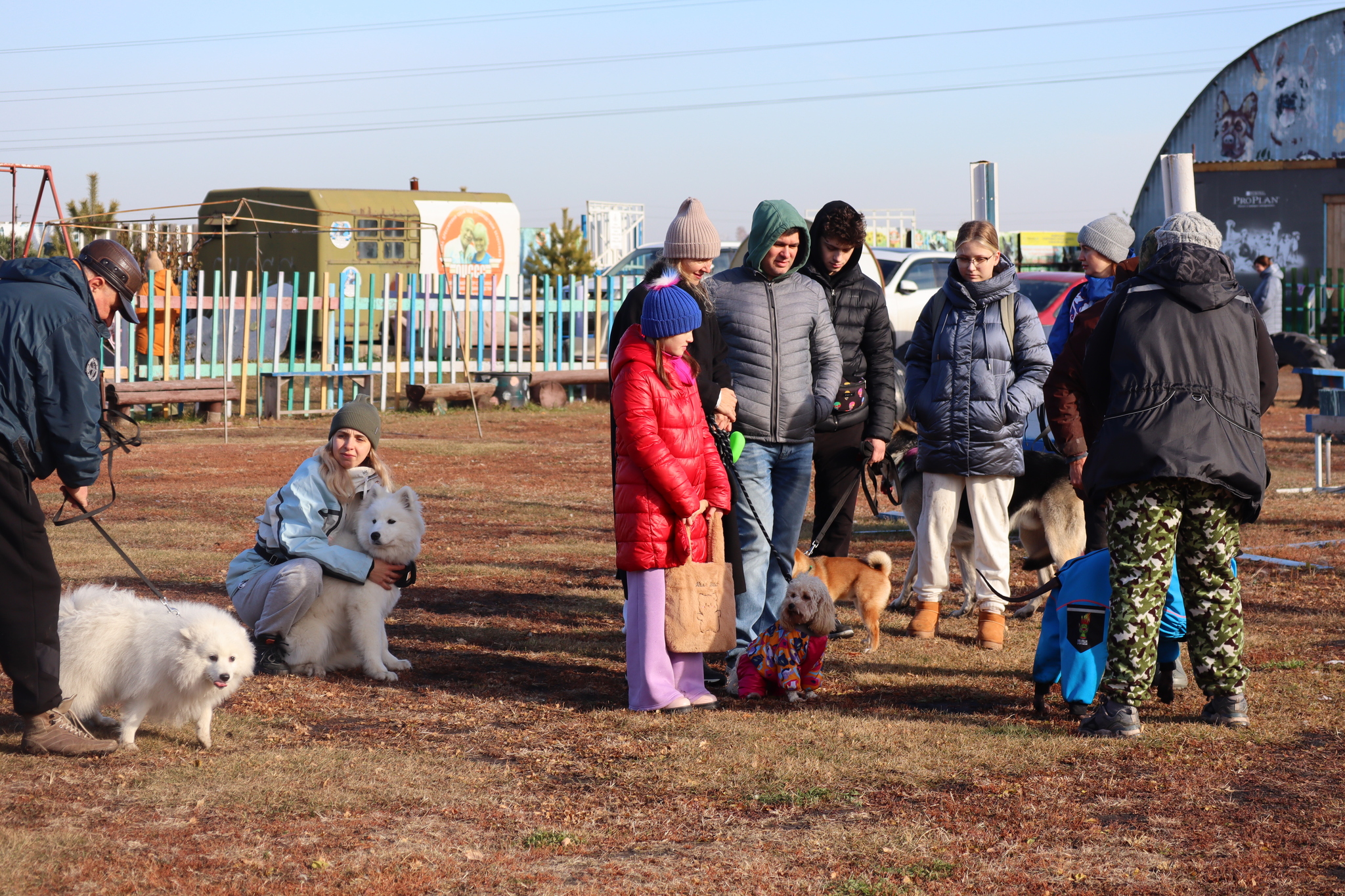 Dog training in Omsk - OCSSSS 19 - 10 - 2024 - Dog, Puppies, Omsk, Training, Dog lovers, Г“Г±Г±Г±, Friend, Care, Longpost