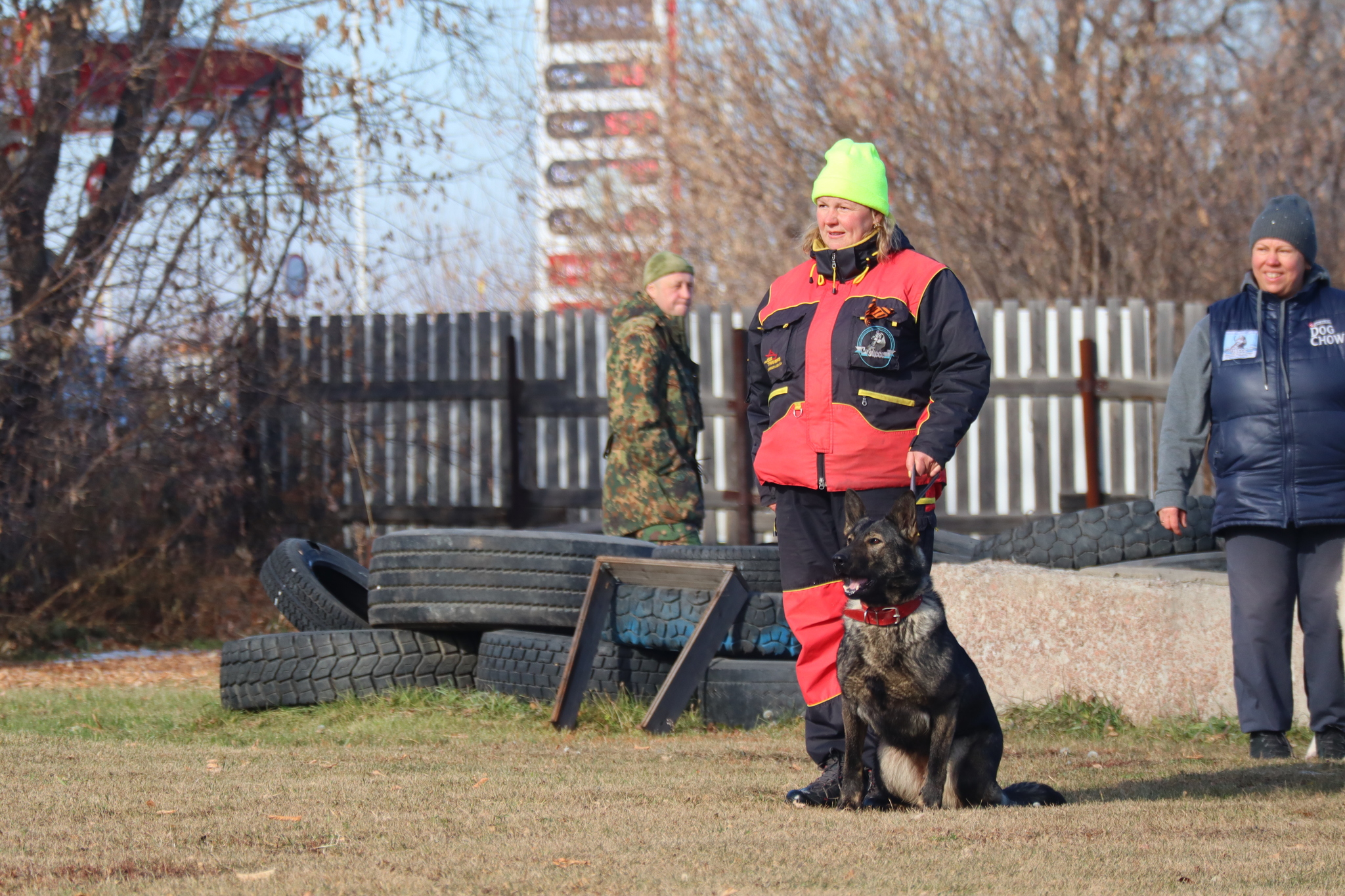 Dog training in Omsk - OCSSSS 19 - 10 - 2024 - Dog, Puppies, Omsk, Training, Dog lovers, Г“Г±Г±Г±, Friend, Care, Longpost