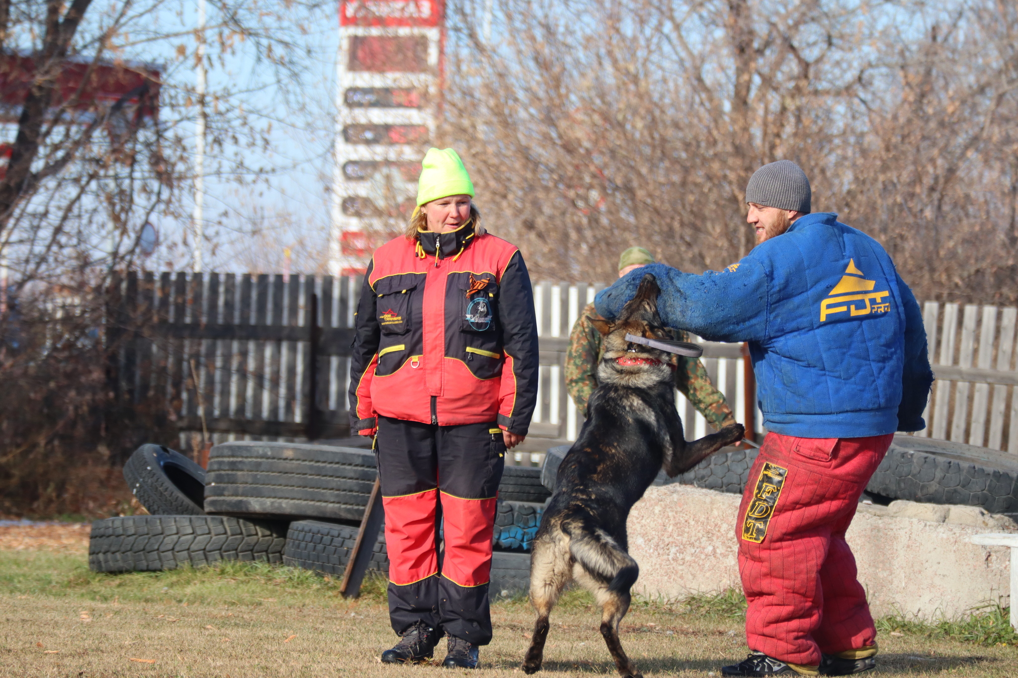 Dog training in Omsk - OCSSSS 19 - 10 - 2024 - Dog, Puppies, Omsk, Training, Dog lovers, Г“Г±Г±Г±, Friend, Care, Longpost