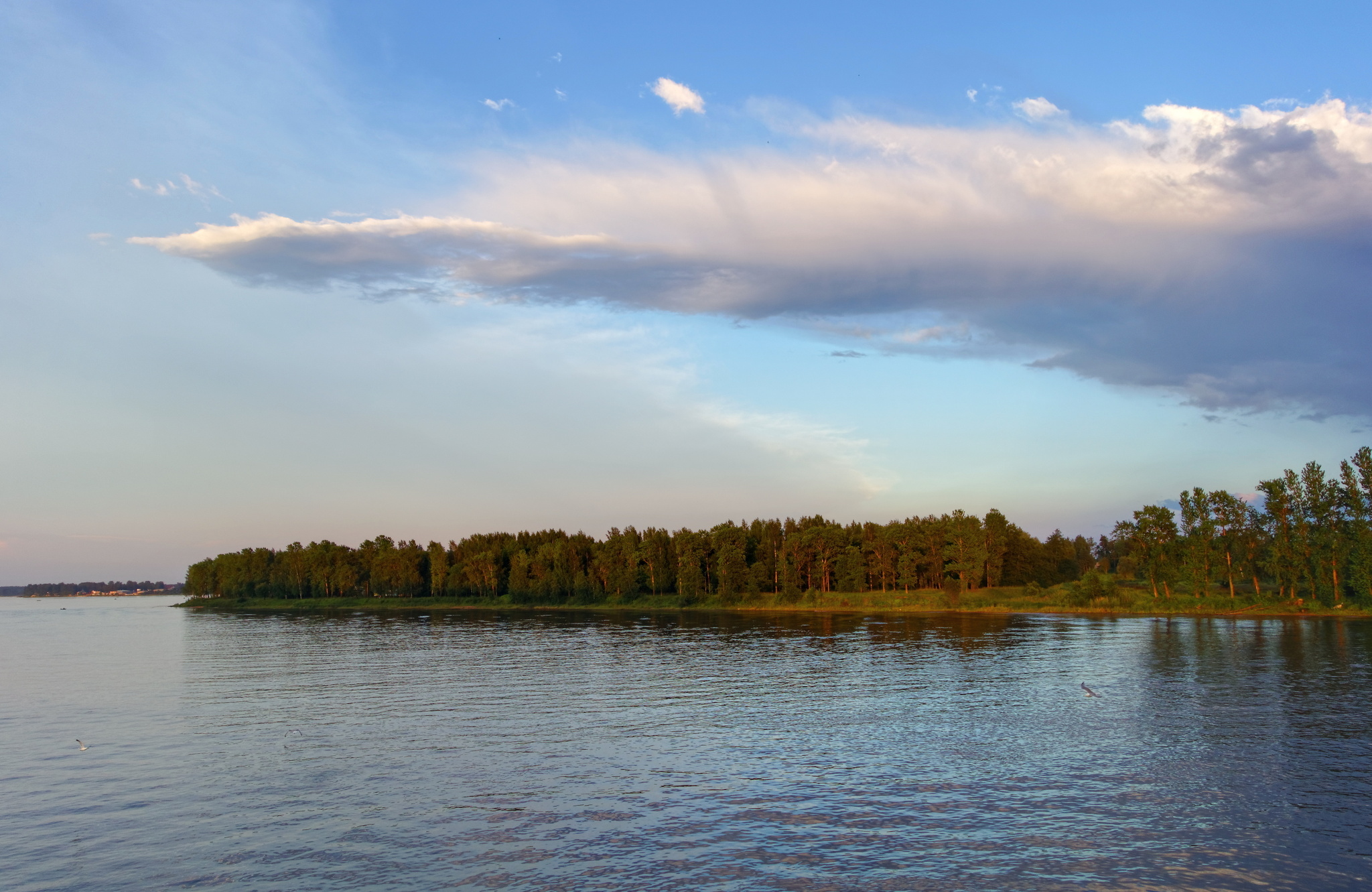 Нева - Моё, Фотография, Нева, Июль, Ленинградская область, Длиннопост