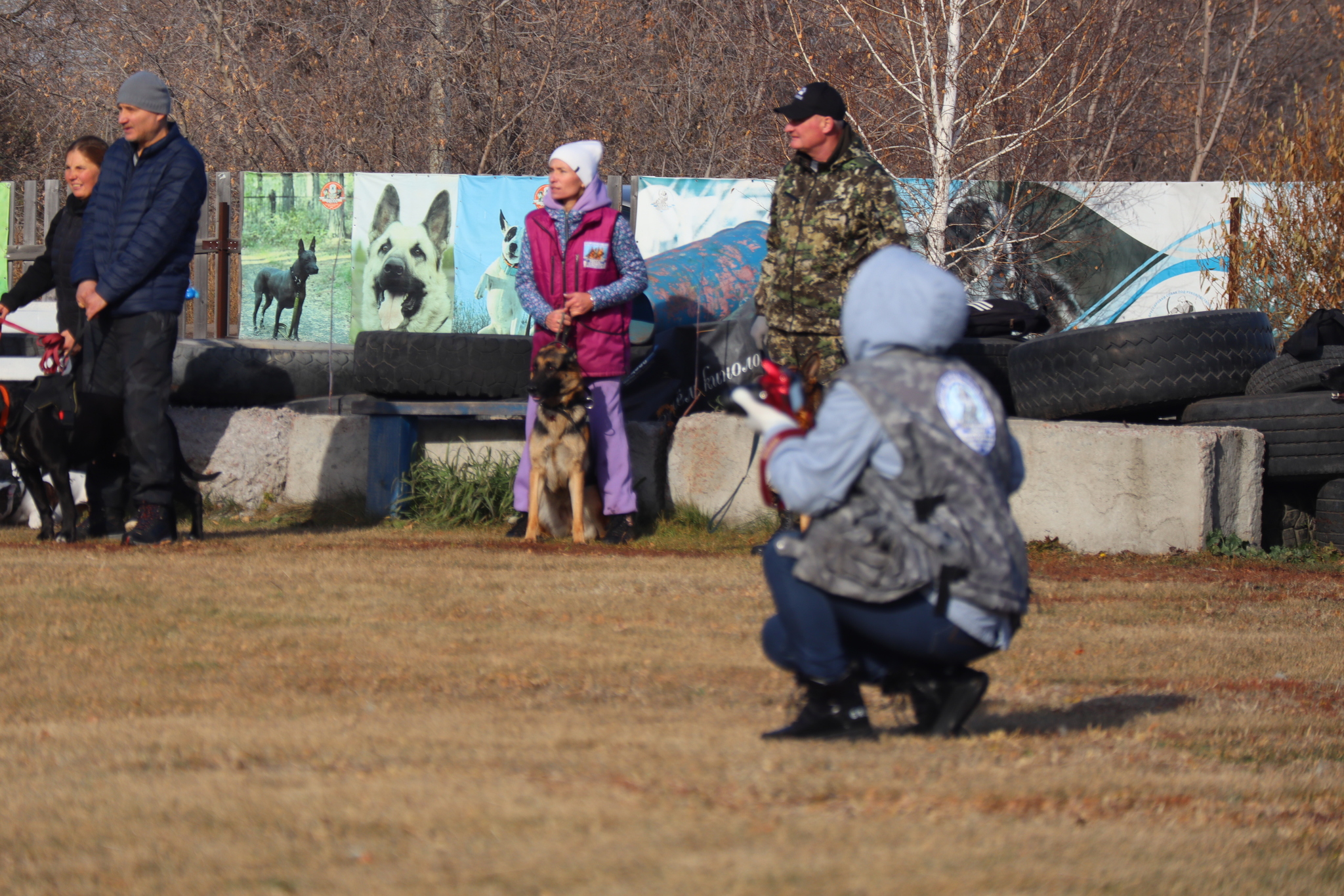 Dog training in Omsk - OCSSSS 19 - 10 - 2024 - Dog, Puppies, Omsk, Training, Dog lovers, Г“Г±Г±Г±, Friend, Care, Longpost