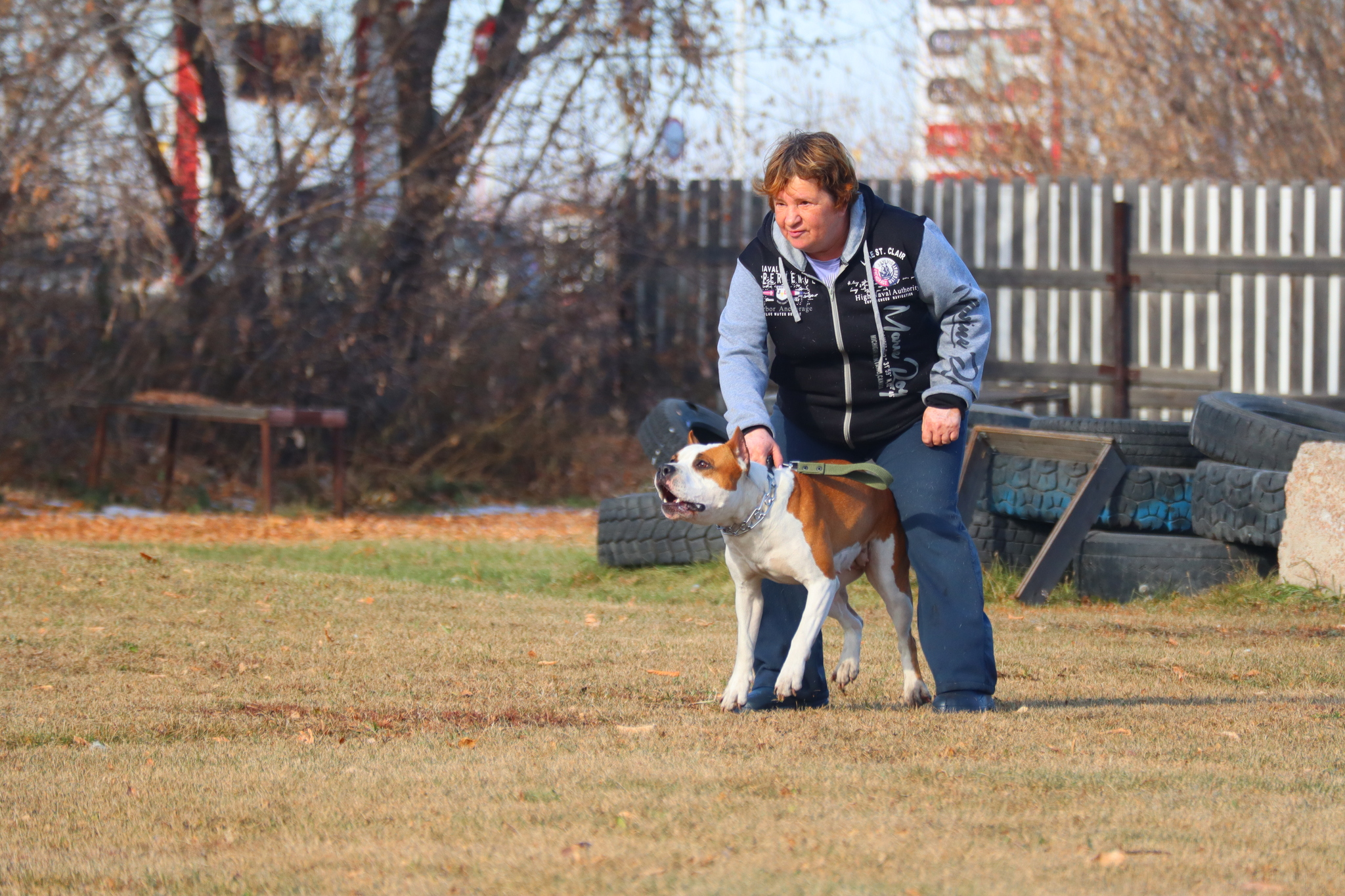 Dog training in Omsk - OCSSSS 19 - 10 - 2024 - Dog, Puppies, Omsk, Training, Dog lovers, Г“Г±Г±Г±, Friend, Care, Longpost