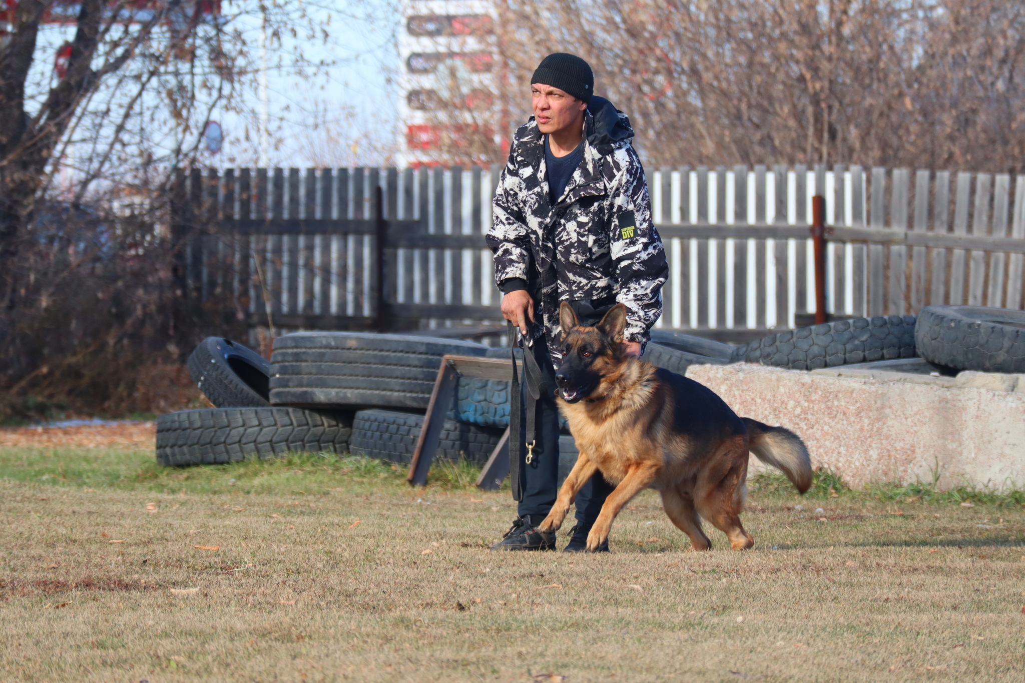 Dog training in Omsk - OCSSSS 19 - 10 - 2024 - Dog, Puppies, Omsk, Training, Dog lovers, Г“Г±Г±Г±, Friend, Care, Longpost