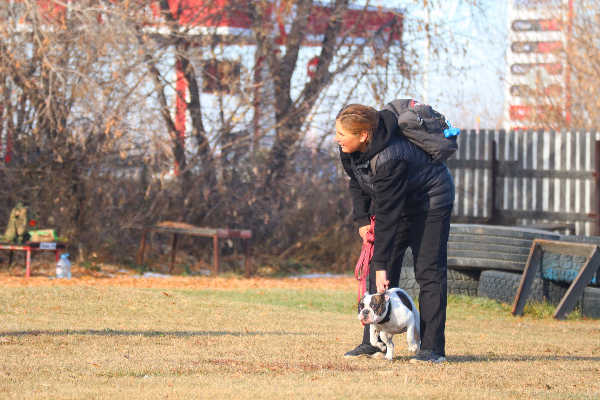 Dog training in Omsk - OCSSSS 19 - 10 - 2024 - Dog, Puppies, Omsk, Training, Dog lovers, Г“Г±Г±Г±, Friend, Care, Longpost