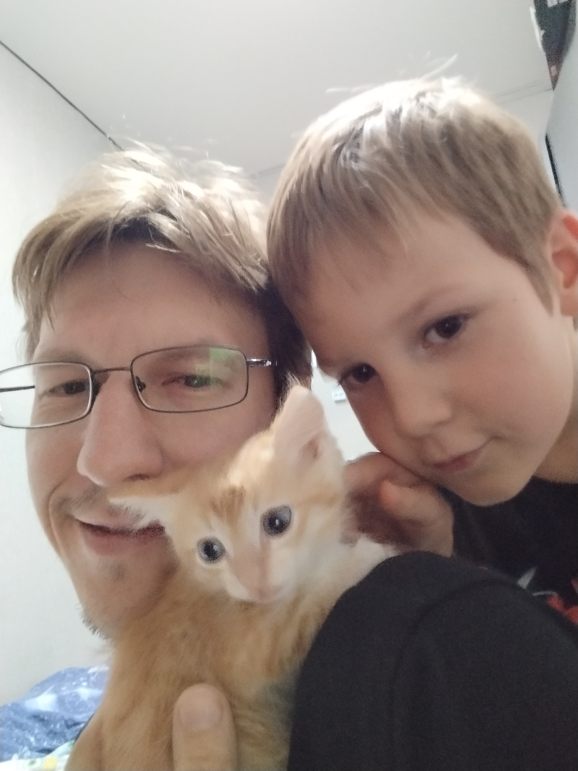 Dad - My, cat, Kittens, Father, A son, Milota, Children