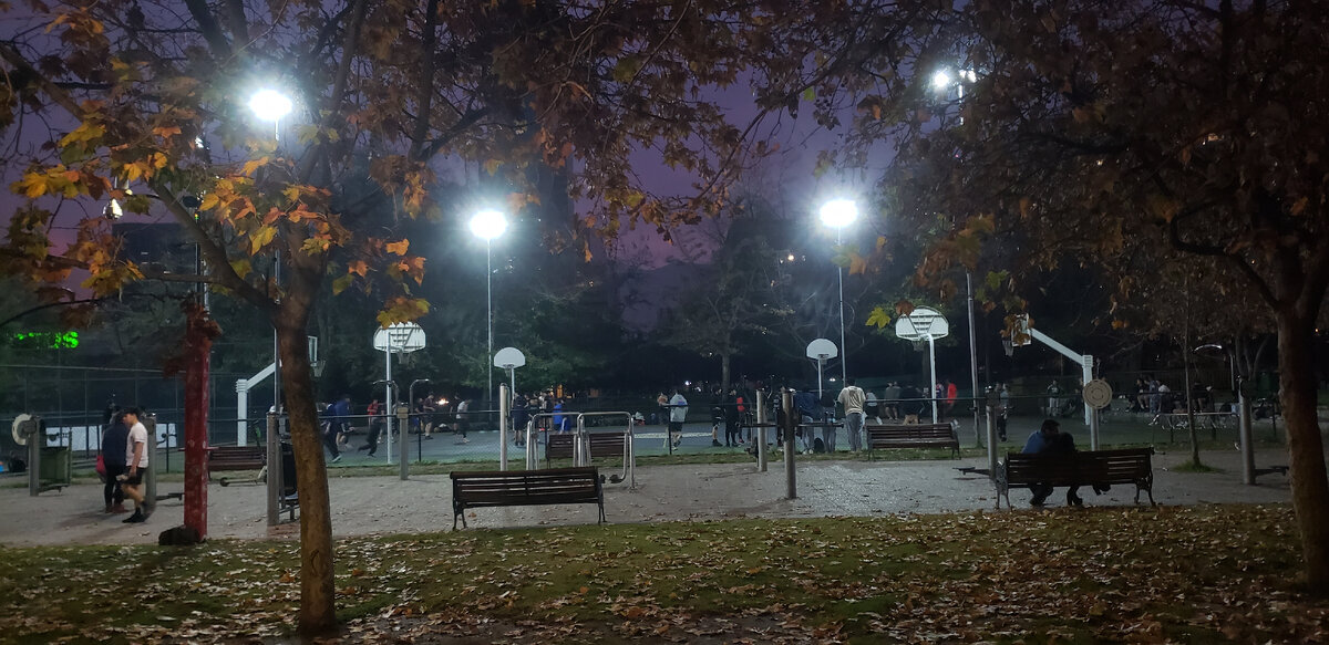 Pink sunset over the park. Santiago. Chile - My, Bike trip, Solo travel, A bike, Travels, South America, Chile, Santiago, Bike ride, Cyclist, Andes, The park, Longpost