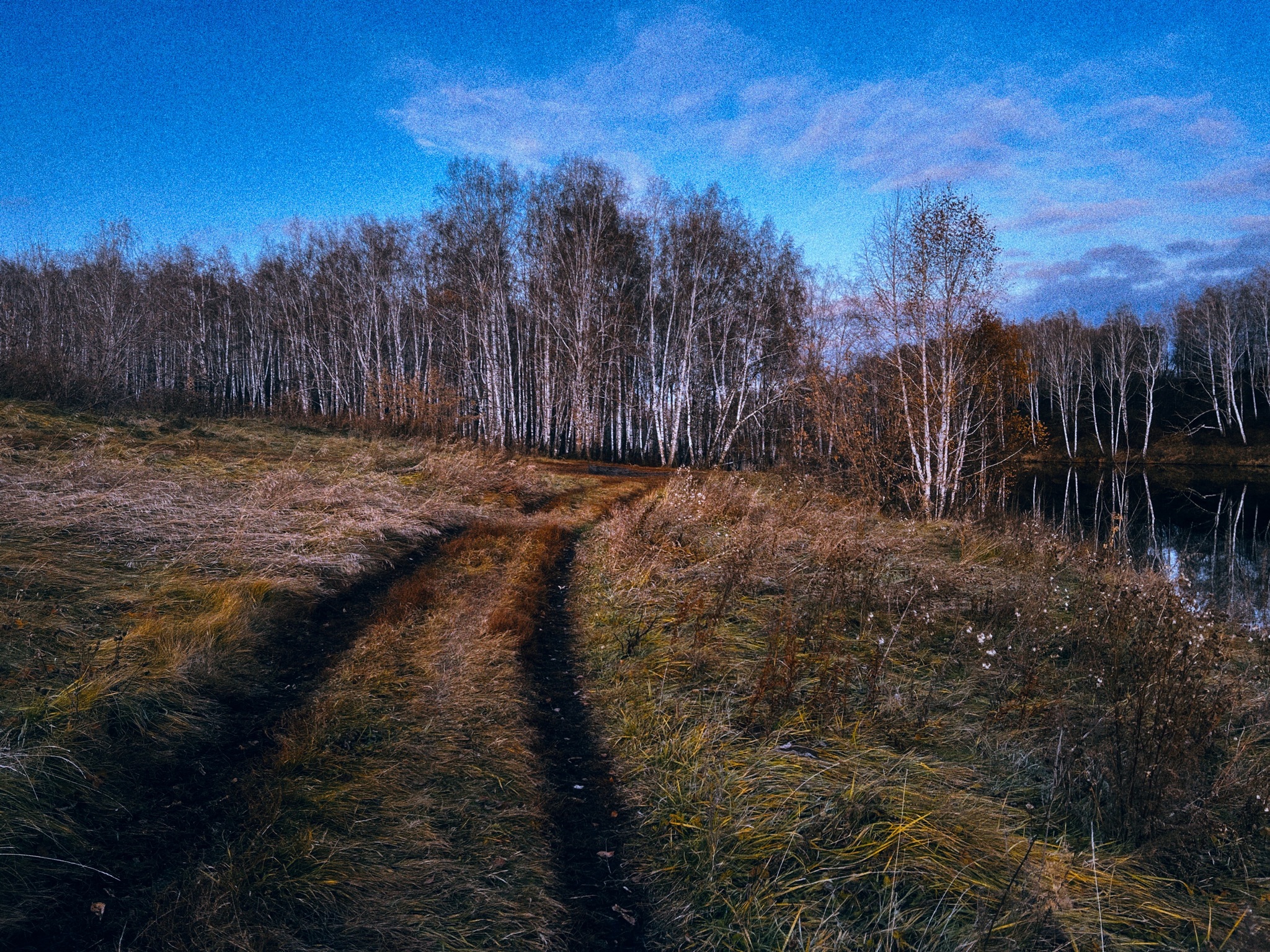 Late autumn aesthetics… - My, Autumn, Nature, Landscape, Longpost