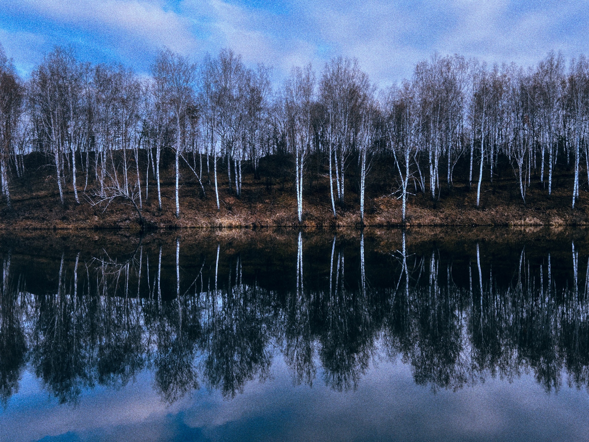 Late autumn aesthetics… - My, Autumn, Nature, Landscape, Longpost