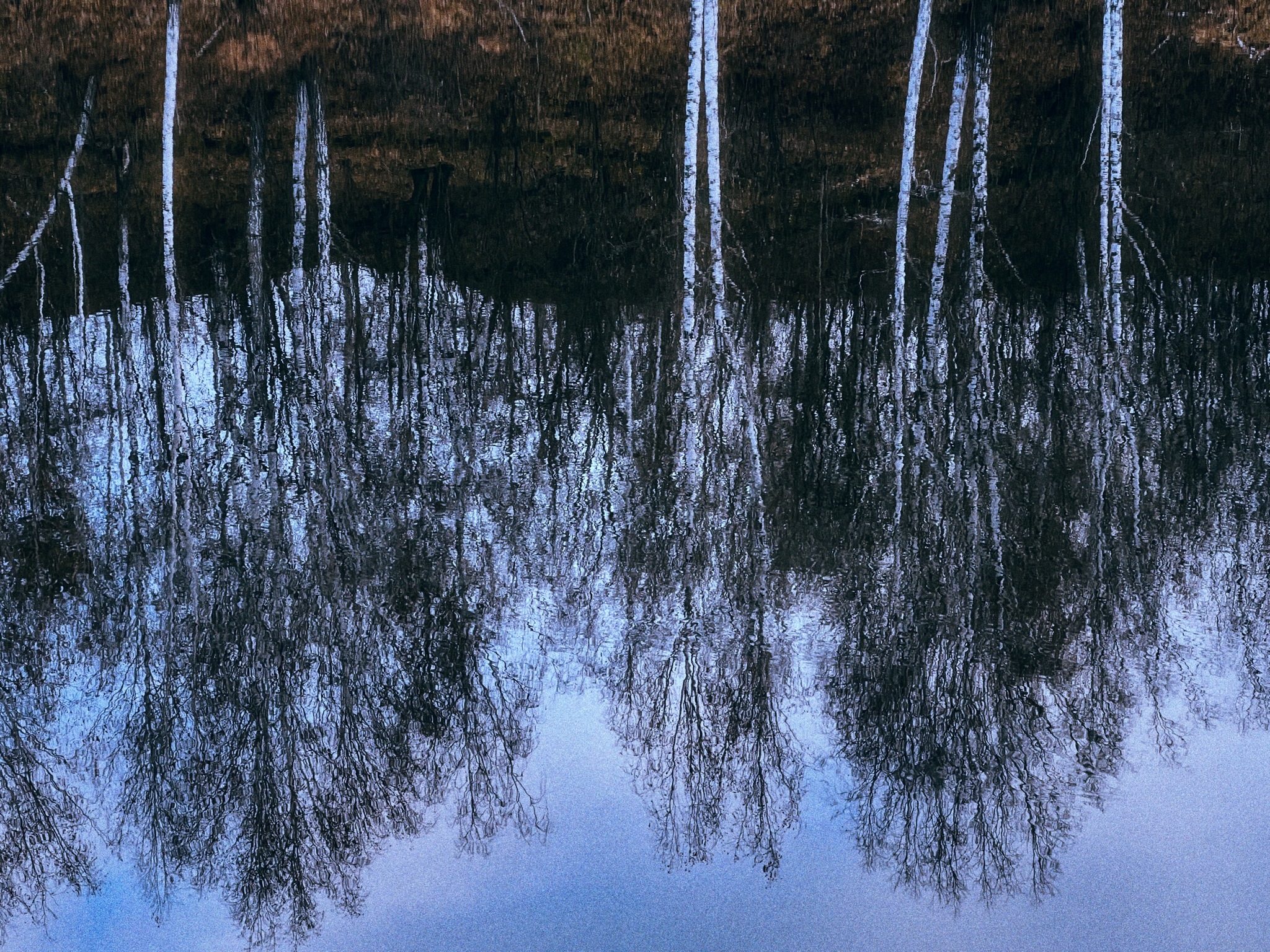 Late autumn aesthetics… - My, Autumn, Nature, Landscape, Longpost