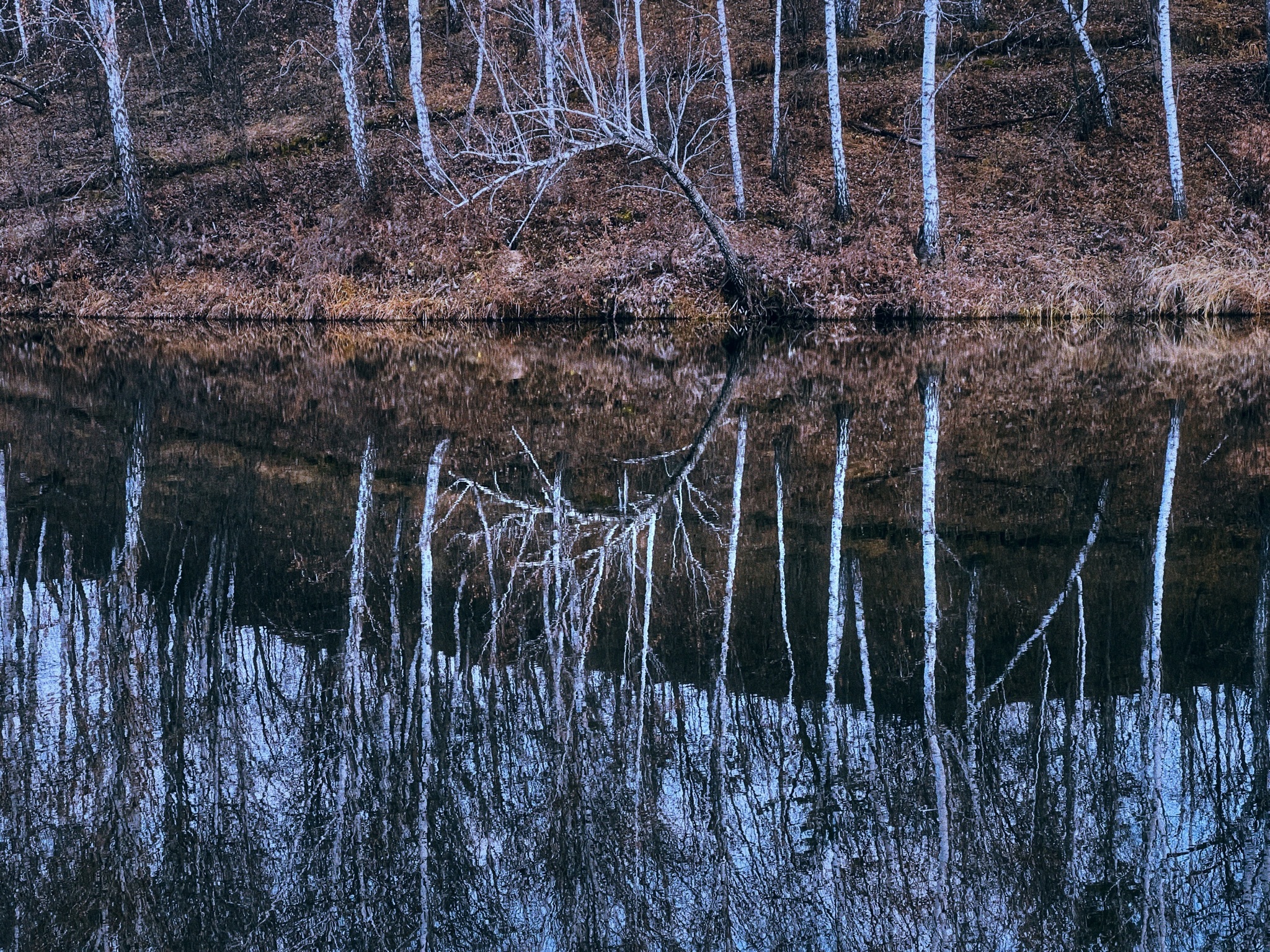 Late autumn aesthetics… - My, Autumn, Nature, Landscape, Longpost