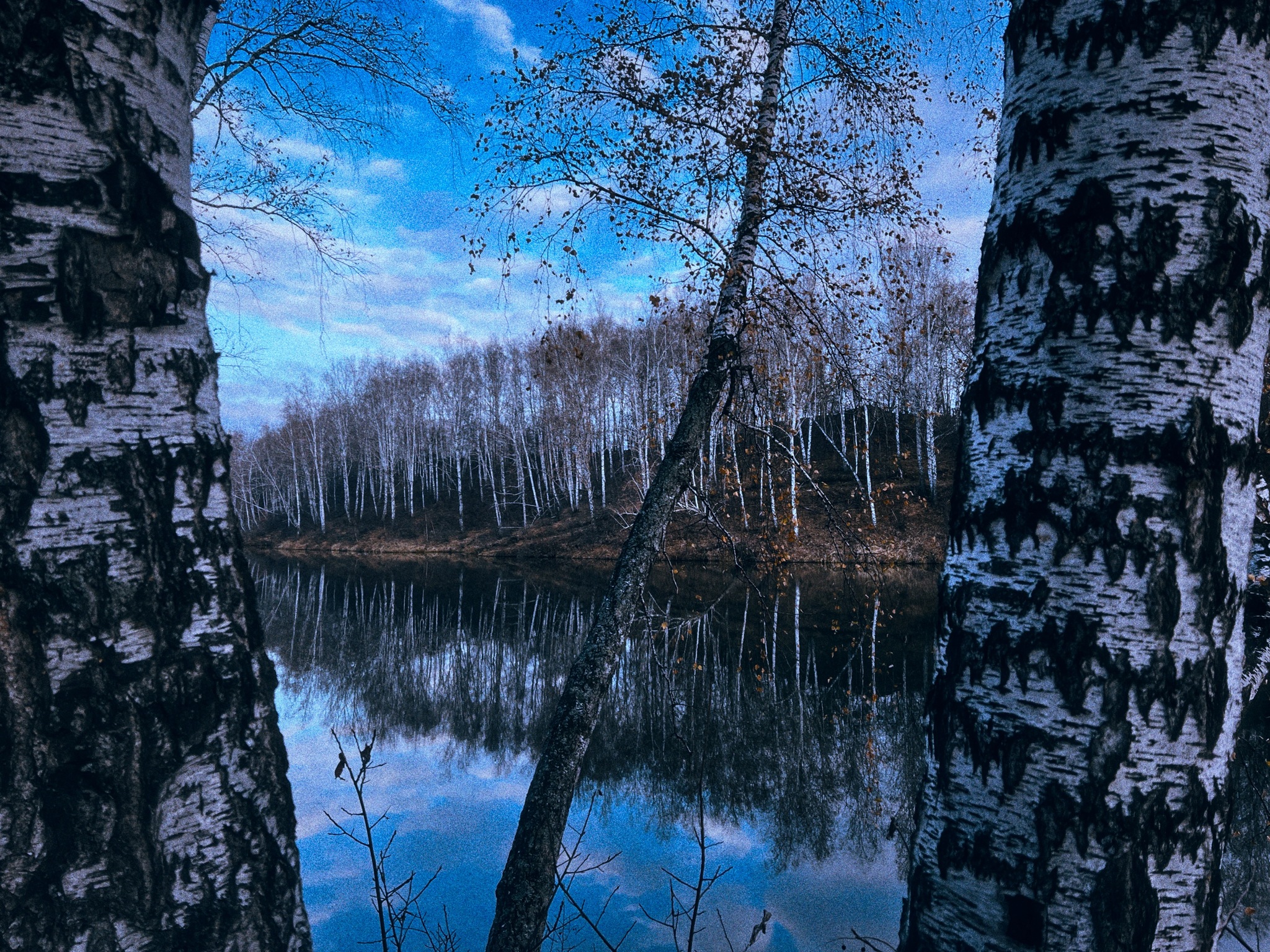 Late autumn aesthetics… - My, Autumn, Nature, Landscape, Longpost