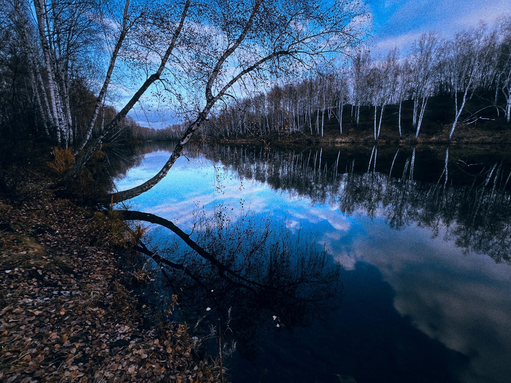 Late autumn aesthetics… - My, Autumn, Nature, Landscape, Longpost