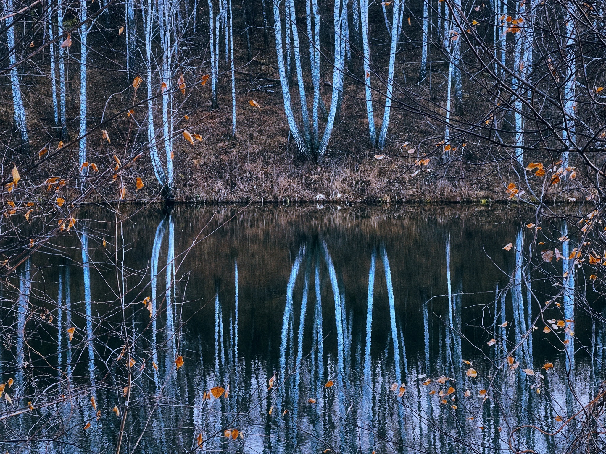 Late autumn aesthetics… - My, Autumn, Nature, Landscape, Longpost