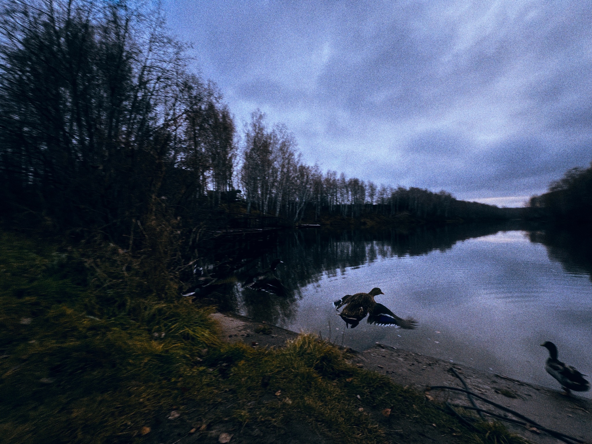 Late autumn aesthetics… - My, Autumn, Nature, Landscape, Longpost