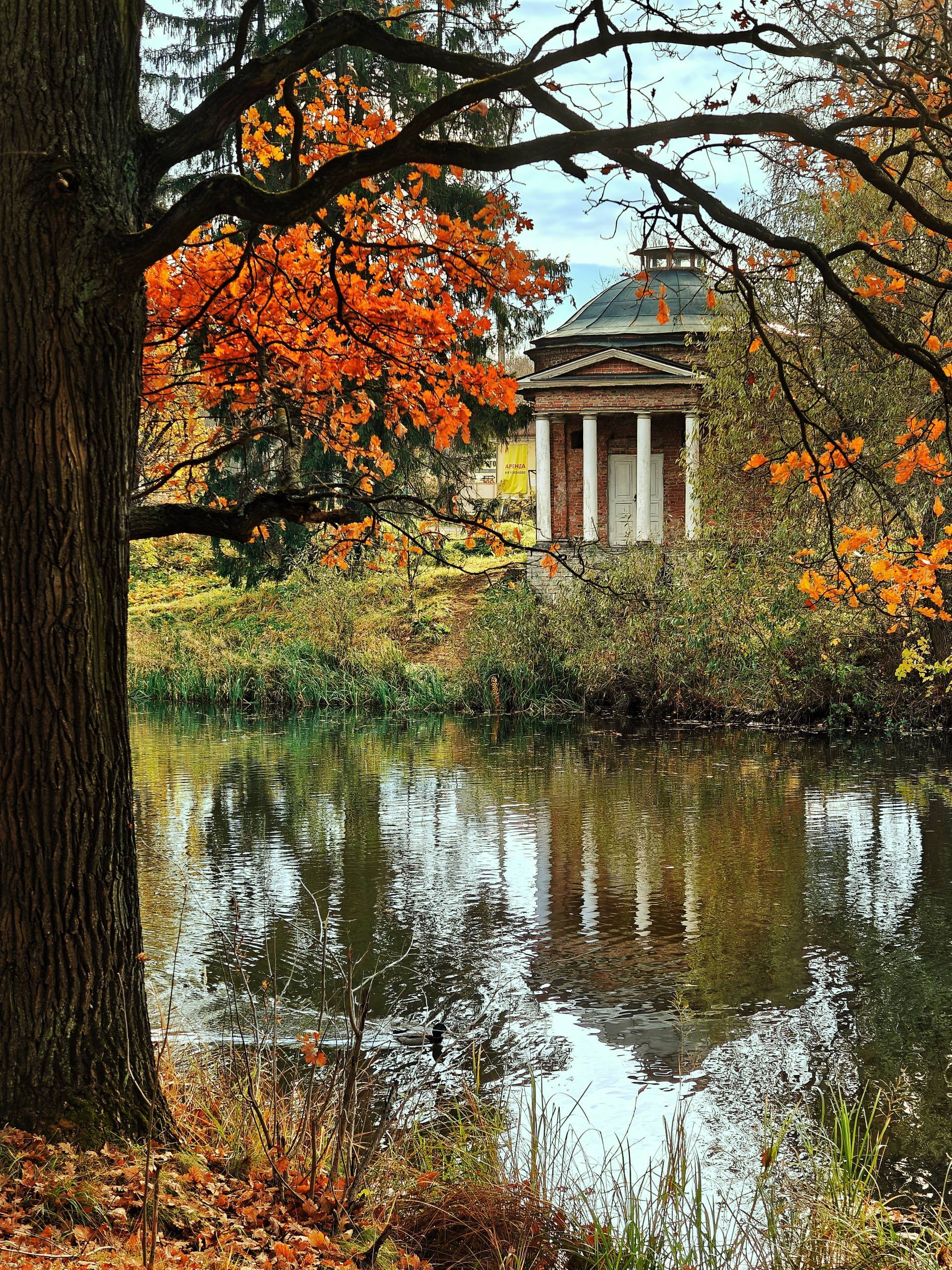 Autumn in Priyutino - My, Architecture, Architectural monument, Pond, Landscape, The photo, Leningrad region, Autumn, Mobile photography