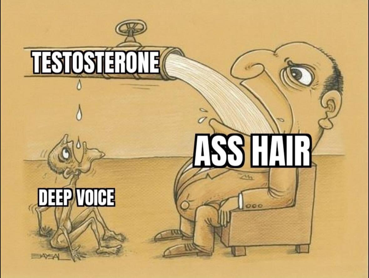 Testosterone - Humor, Picture with text, Testosterone, Voice, Hair, Sad humor