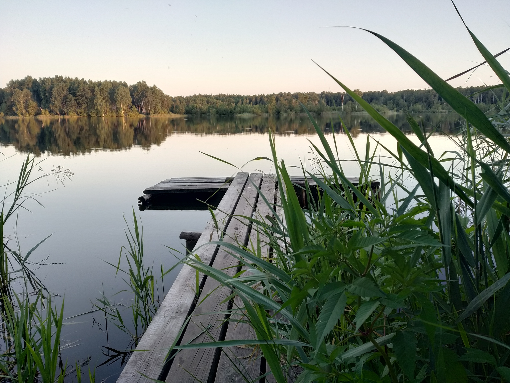 Cycling trip. Rybinsk - Kazan. 2021. Part 1 - My, Bike ride, Туристы, Drive, Bike trip, Leisure, Tent, Bikepacking, Touring, Longpost