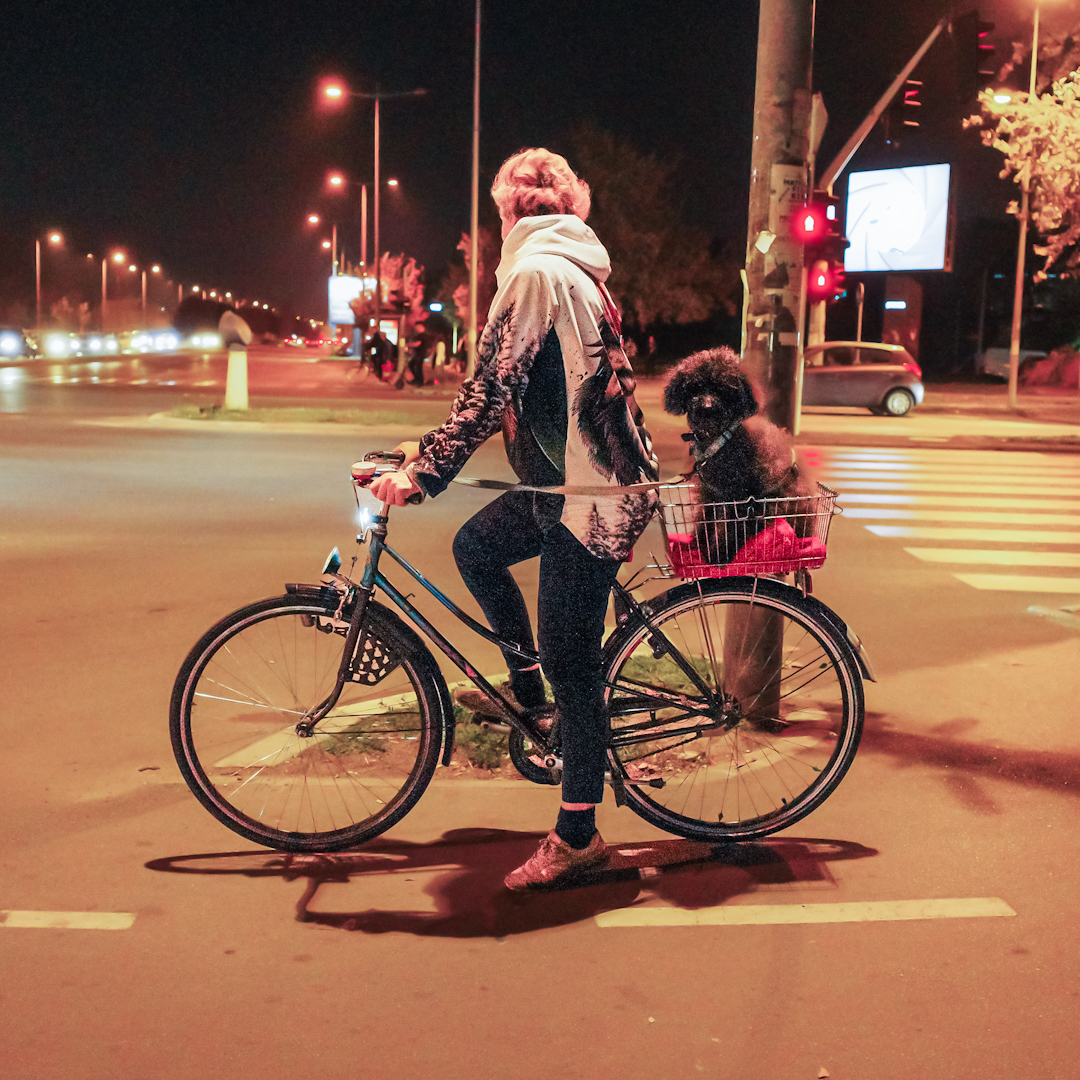 Dogs on the street 48 - bike ride - My, Dog, Pets, Street photography, City walk, Bike ride