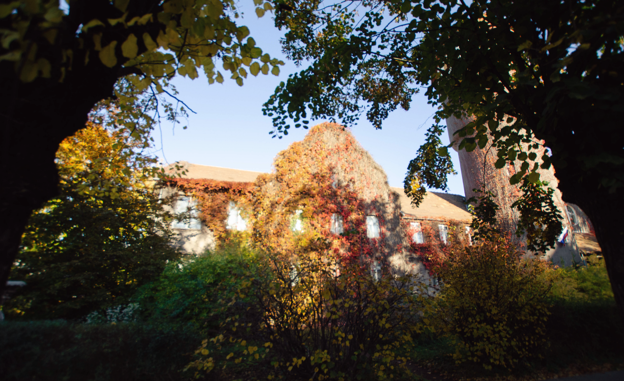 Architecture and landscapes of autumn Svetlogorsk - My, Travel across Russia, The park, Road trip, sights, Cities of Russia, Svetlogorsk, Local history, History, Building, Architecture, Kaliningrad region, Tourism, Longpost