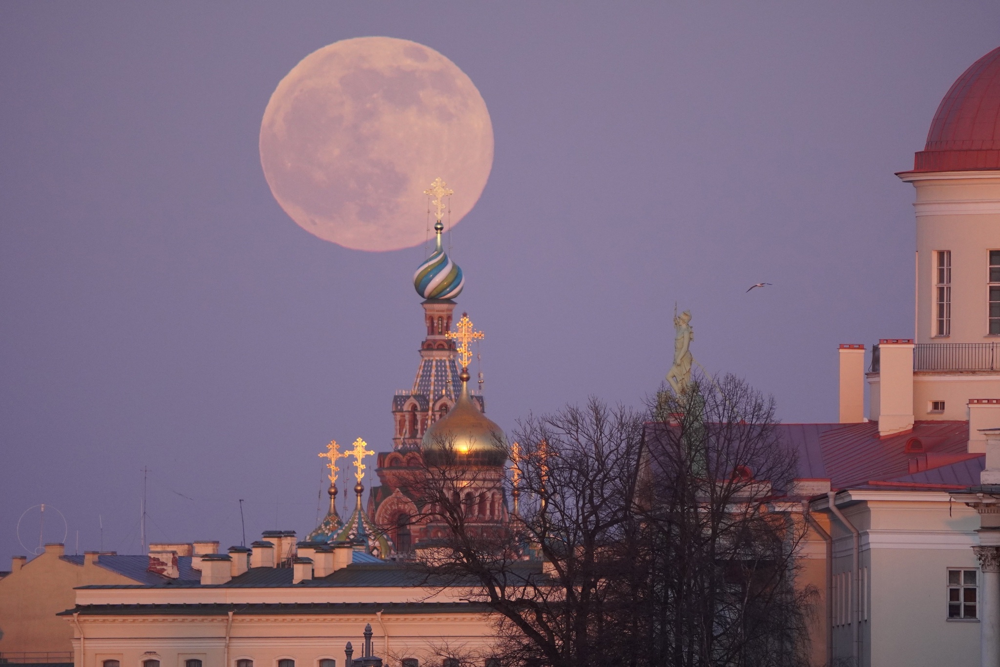 NOVEMBER 5, 19:00, DK Gaza. My personal exhibition LUNAR PETERSBURG - The photo, Saint Petersburg, Sunset, moon, Sunrise, Longpost