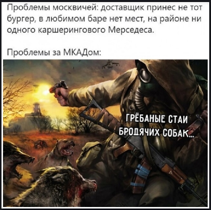 On the topic of stray dogs - Picture with text, Humor, Sad humor, Stray dogs, Zamkadye, Moscow