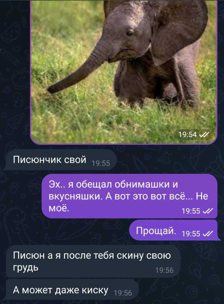 А можно писюльчик? - Разговор, Оскорбление, Telegram, Юмор, Разочарование, Боты, Диалог, Переписка, Длиннопост