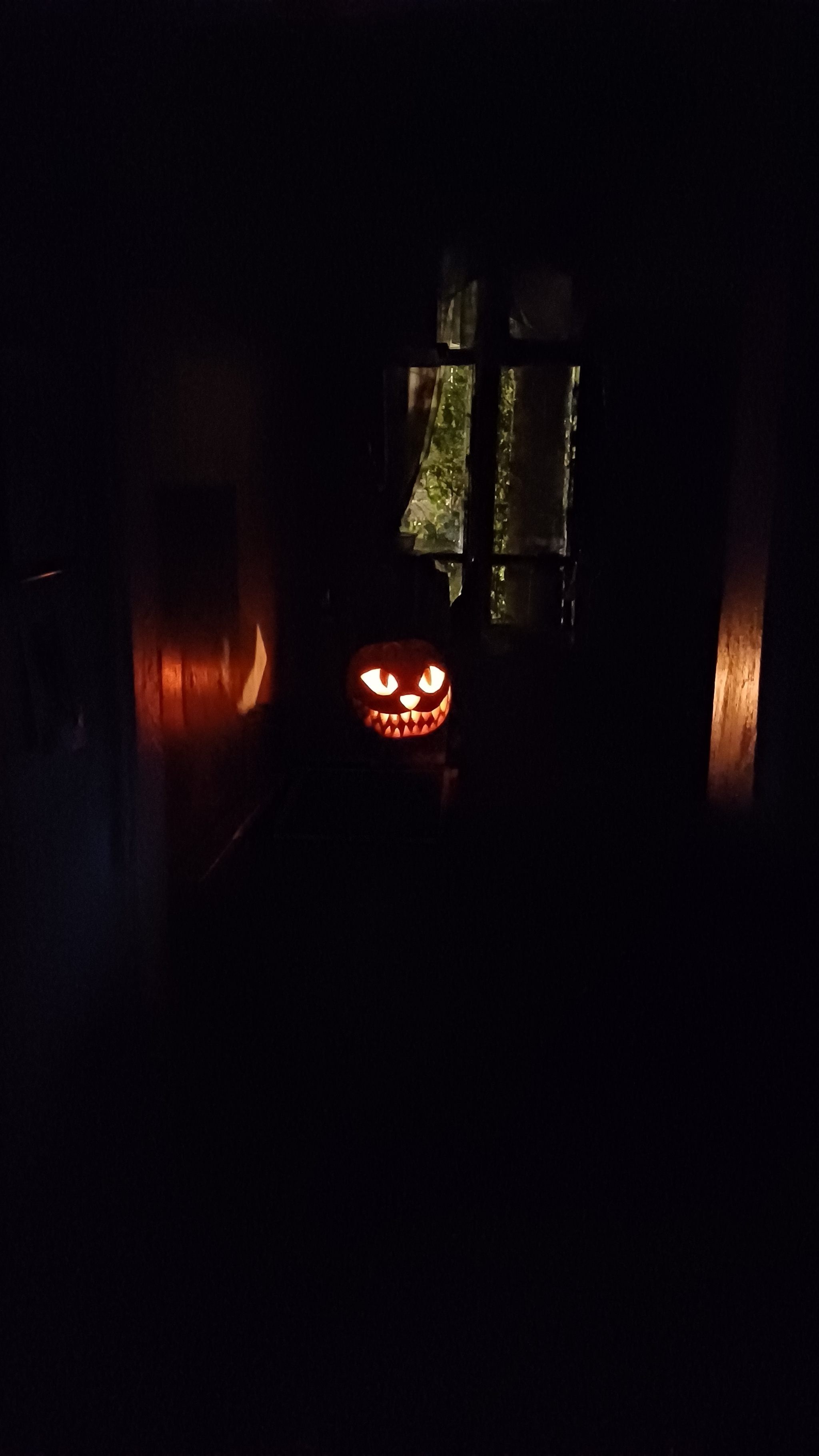 Ready for the holiday - My, Halloween, Pumpkin, Holidays, Positive