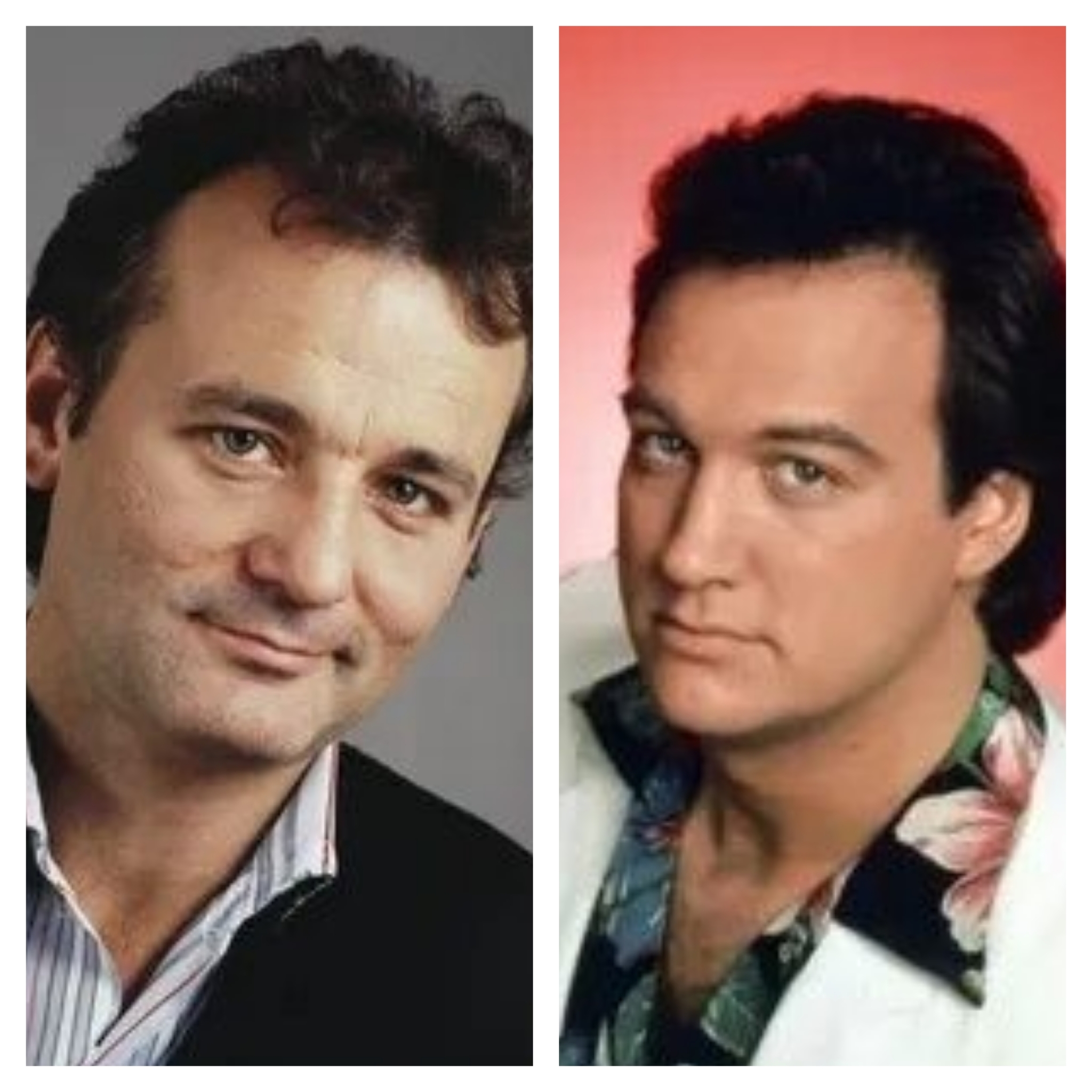 Who else confused them? - My, Similarity, Bill Murray, James Belushi, Short post, Actors and actresses, Repeat