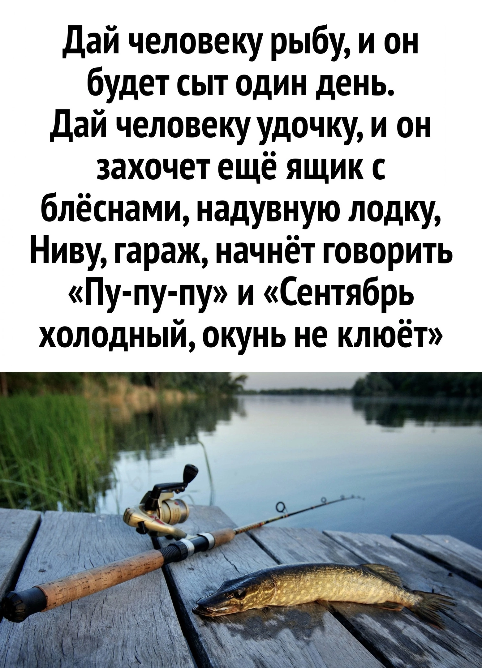 Fishing rod - Picture with text, Humor, A fish, Fishing, Repeat