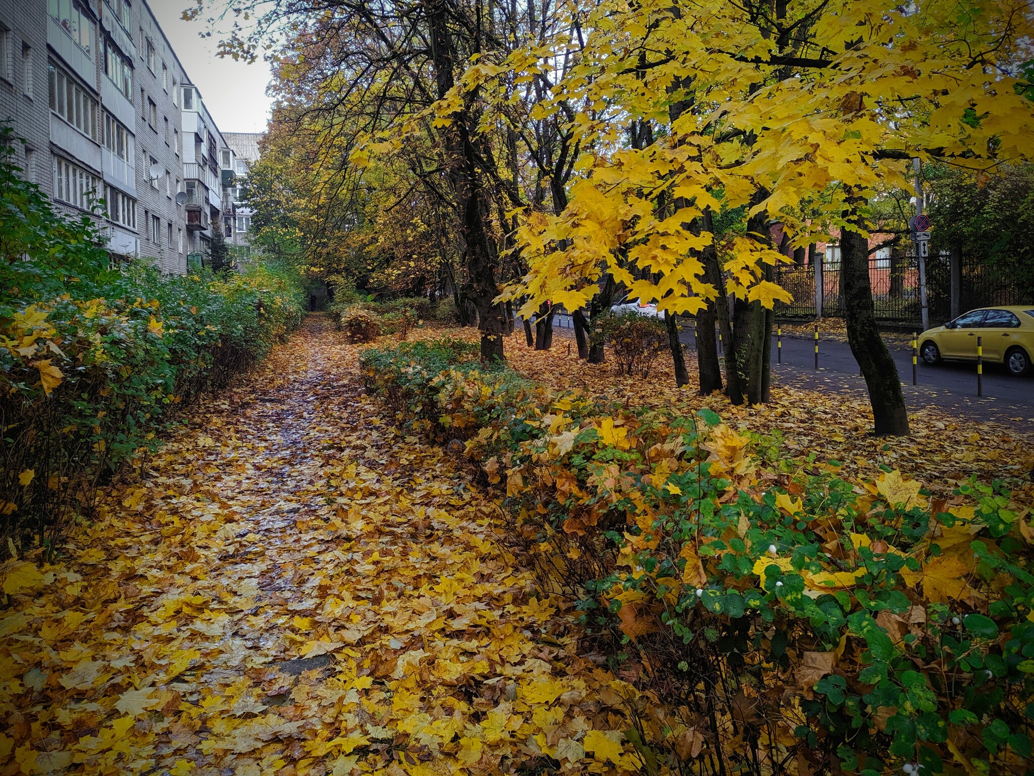 Kaliningrad. Morning... - My, Mobile photography, Street photography, City walk, Xiaomi Redmi Note 7, Kaliningrad, Autumn