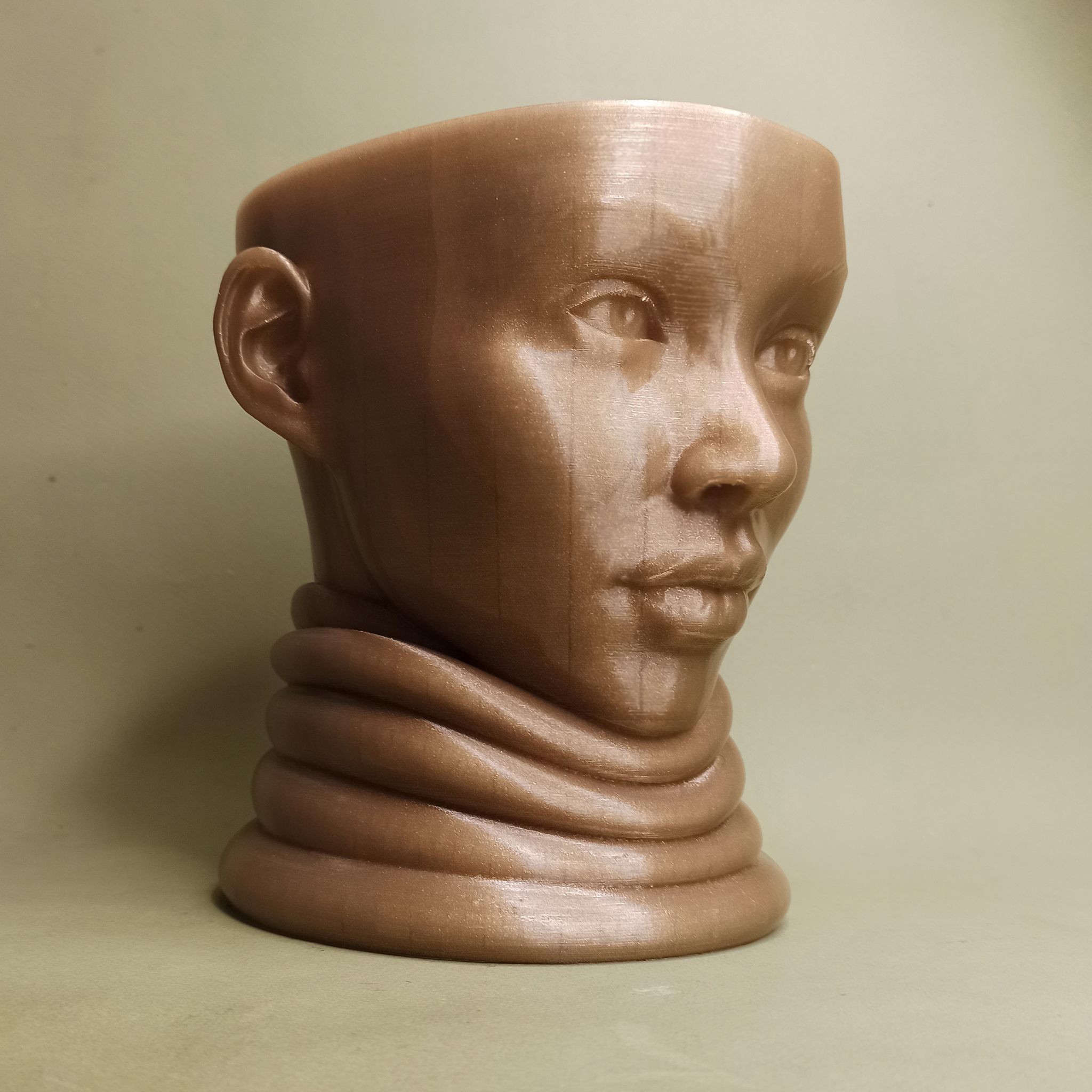 Thoughts have been sown. We are waiting for a stormy head of hair - My, 3D печать, 3D modeling, 3D, Flower pot, Pla, Fdm printing, Vase, Longpost