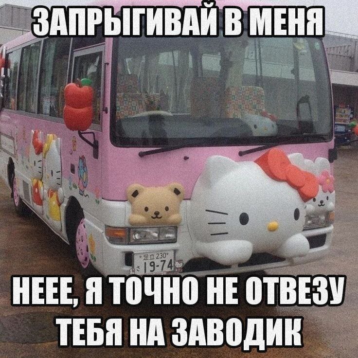 Are you sure? - Humor, Bus, Hello kitty, Picture with text, Factory