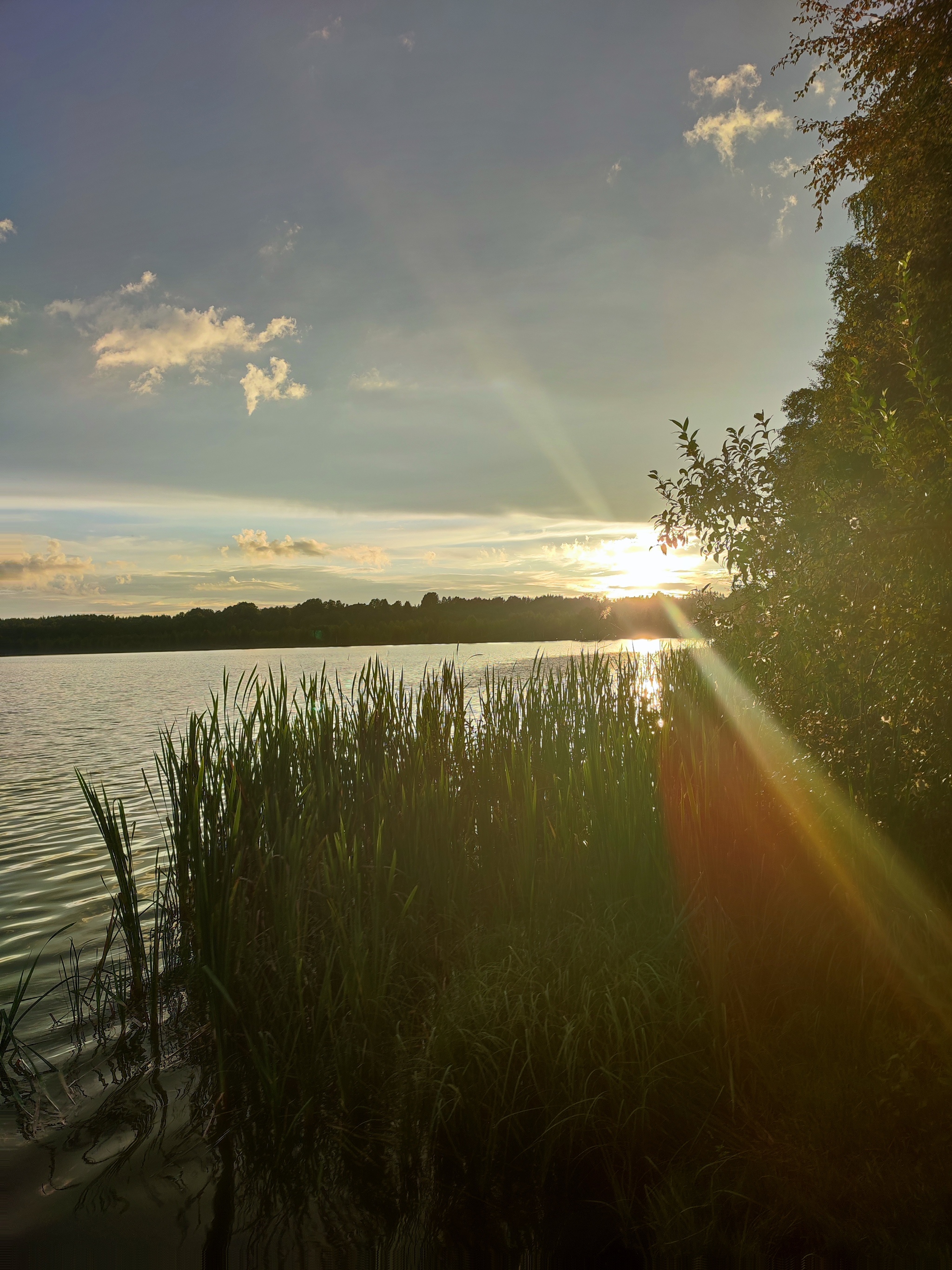 4 days by bike in the Leningrad region - My, Travel across Russia, Travels, Leningrad region, A bike, Bike trip, Tourist places, Bike ride, Saint Petersburg, Mat, Longpost