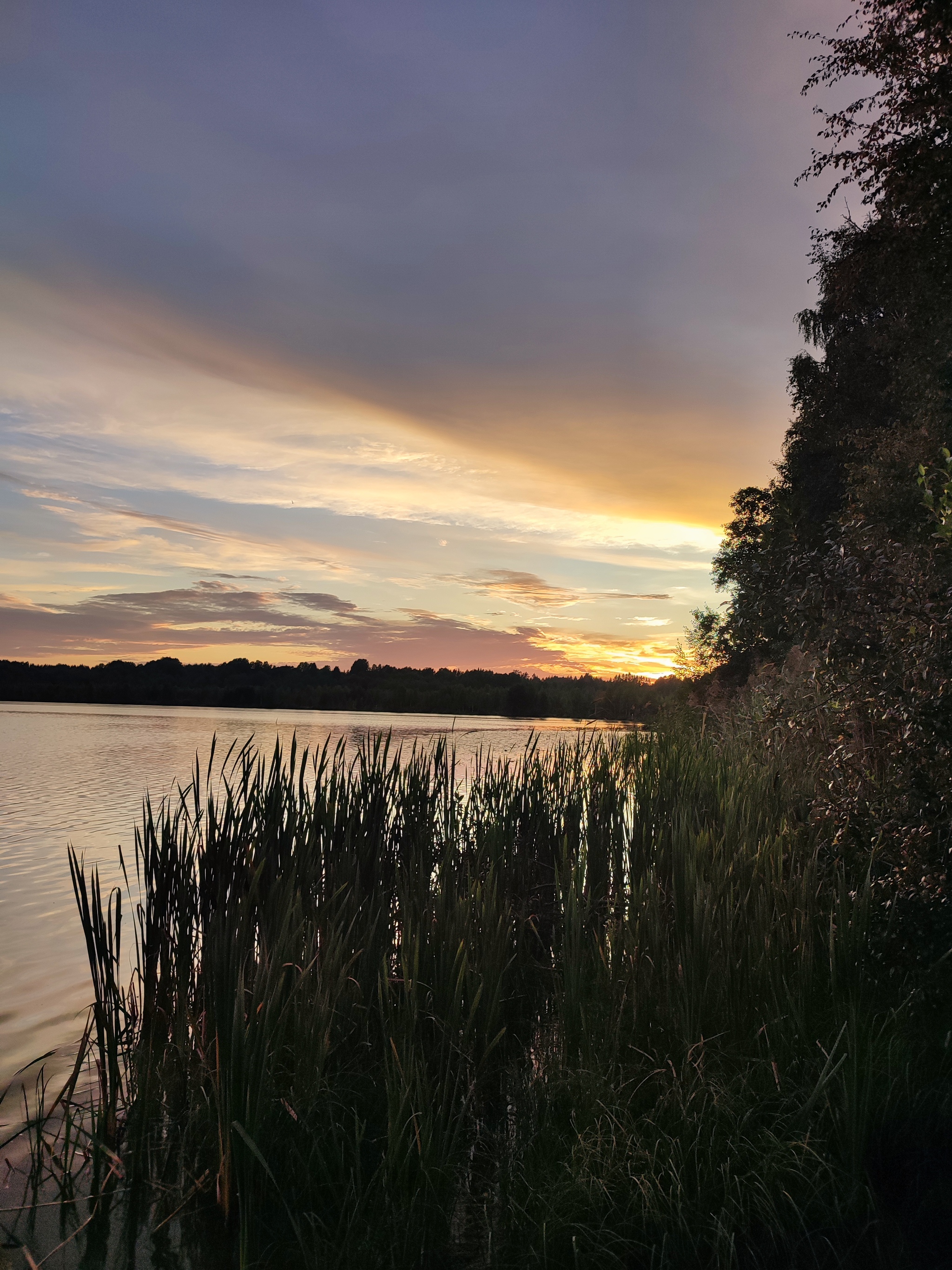 4 days by bike in the Leningrad region - My, Travel across Russia, Travels, Leningrad region, A bike, Bike trip, Tourist places, Bike ride, Saint Petersburg, Mat, Longpost