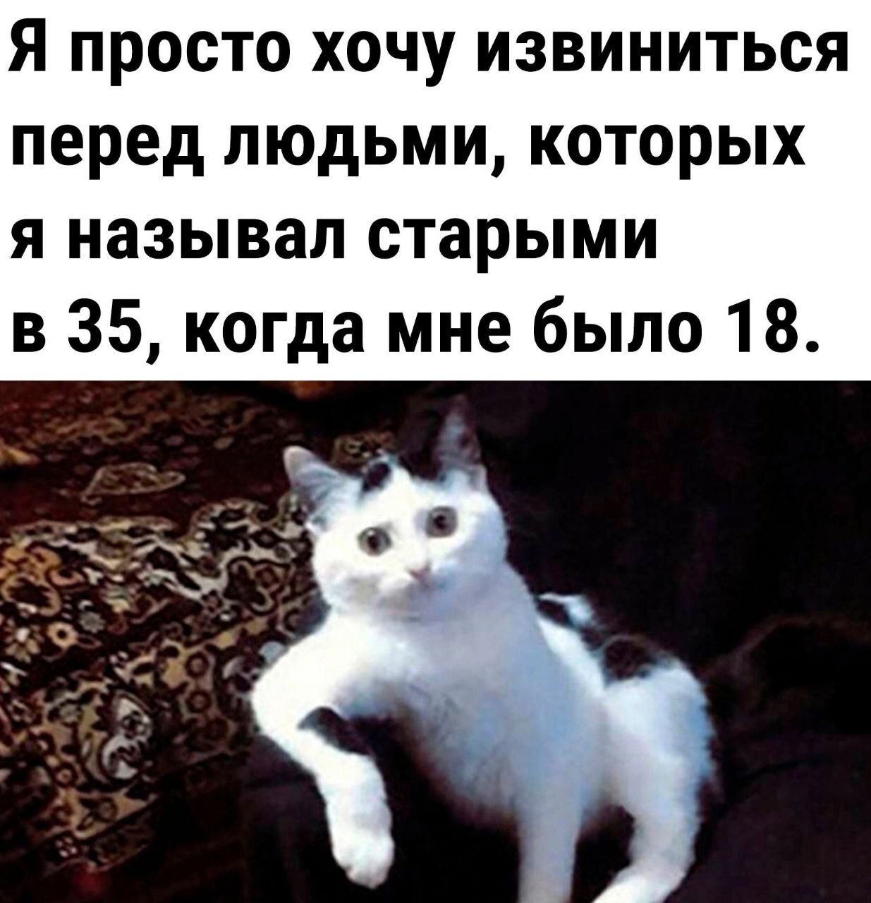 I want to apologize - Picture with text, Humor, Psychology, Memes, cat, Age, Sad humor, Expectation and reality, Internal dialogue, Irony, Vital, Time, Telegram (link)