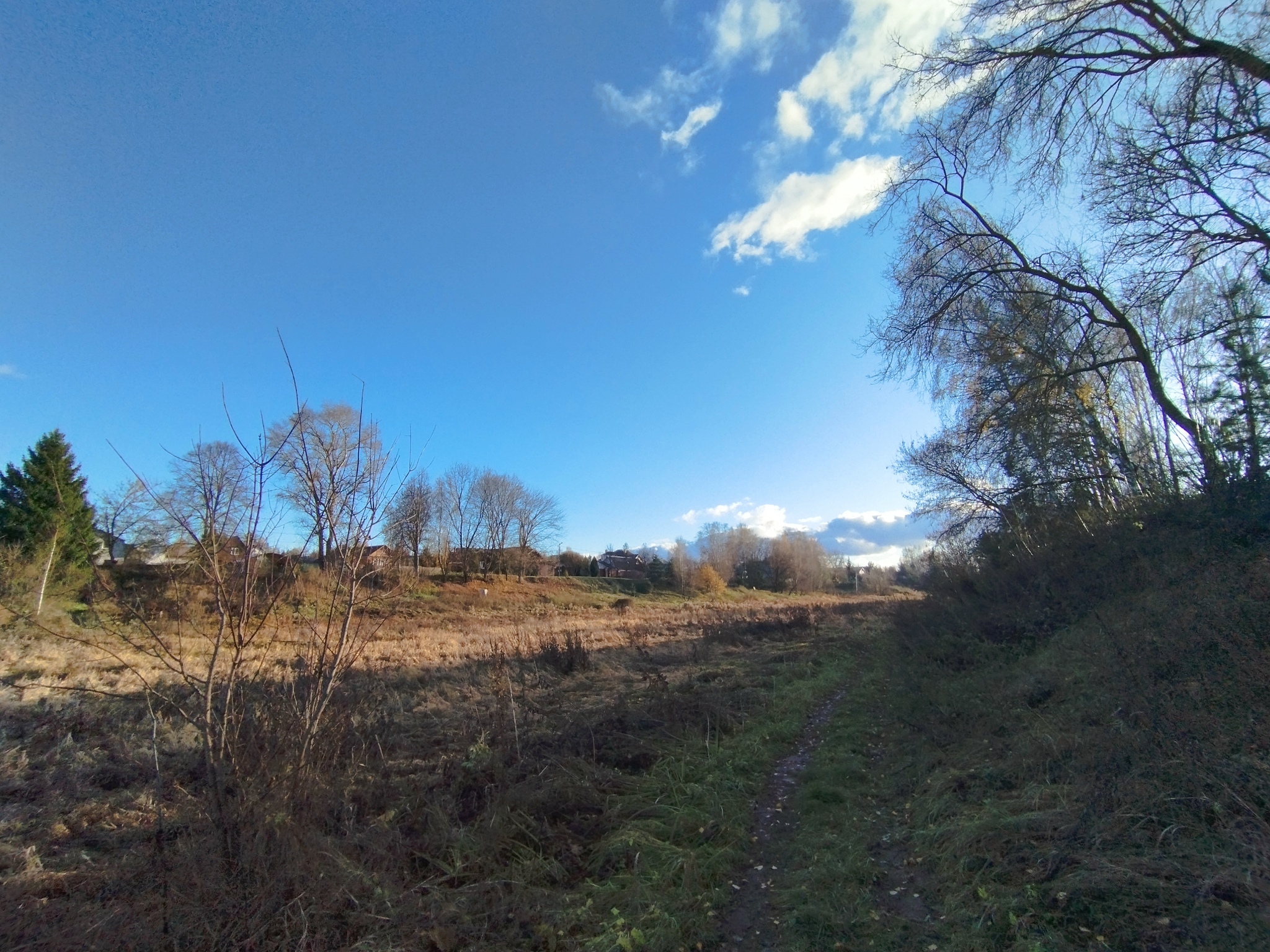 Autumn - My, Mobile photography, Autumn, Leaves, Sky, Path