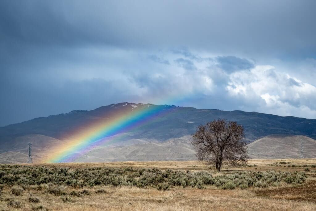 Rainbow - Радуга, Фотография