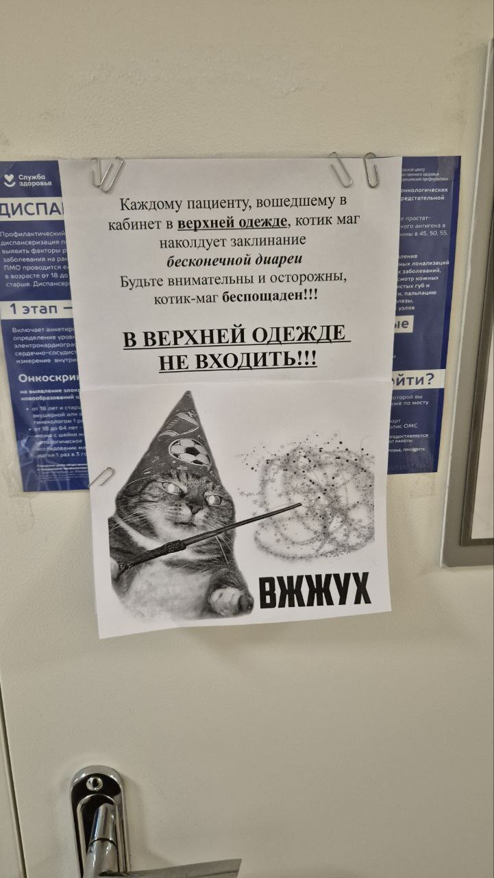 In one of the St. Petersburg clinics - Humor, Polyclinic, cat, Announcement