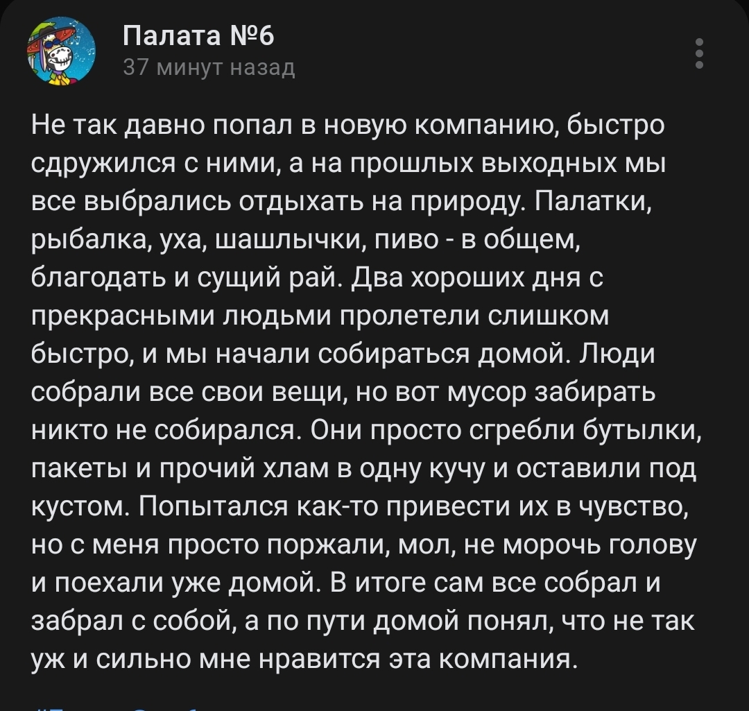 Не та компания - Отдых на природе, Мусор, Свинство, Скриншот, Палата №6