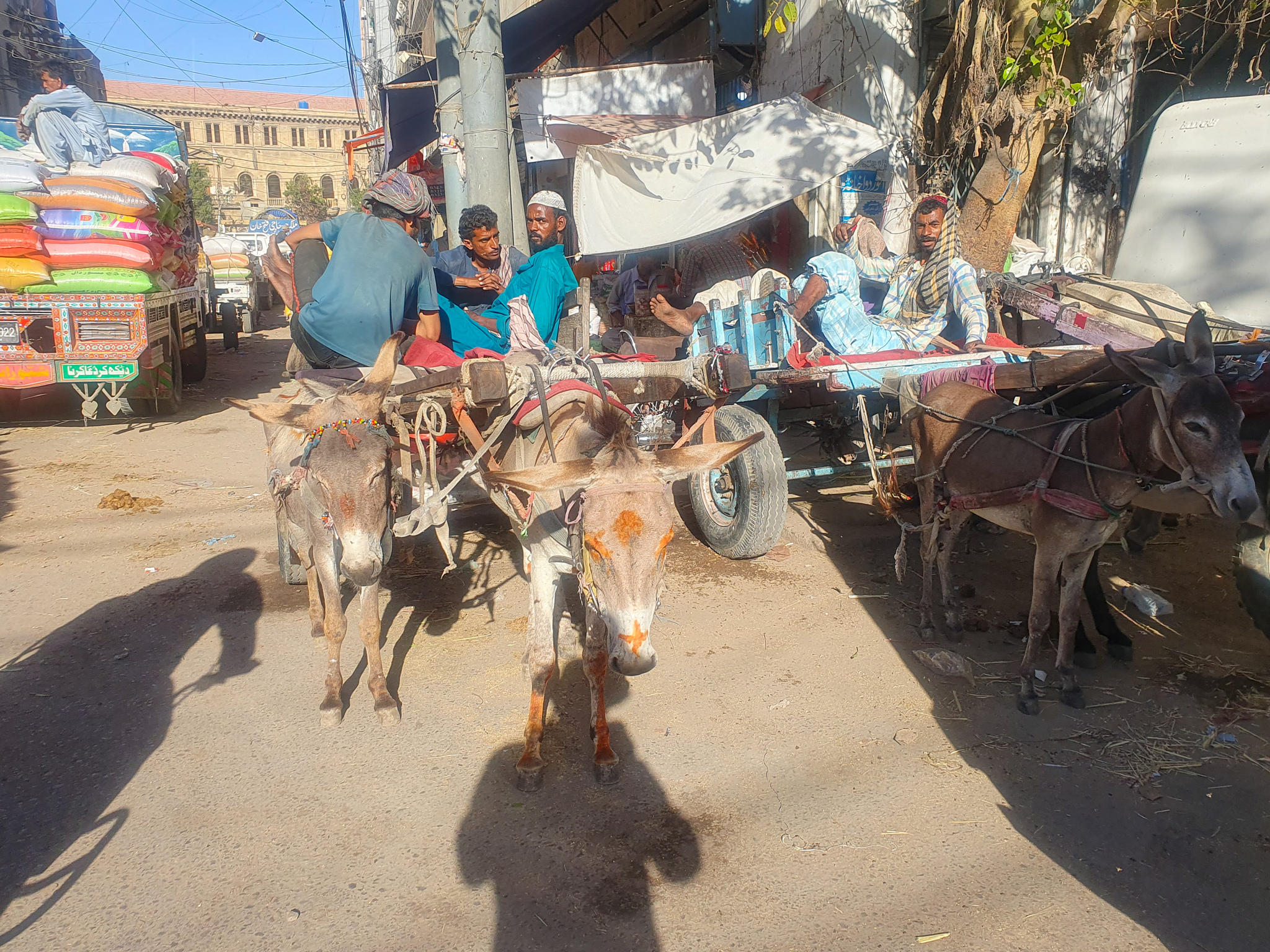 Karachi is one of the dirtiest cities I have ever seen in my life. - My, Pakistan, Travels, Pakistanis, Video, Vertical video, Longpost