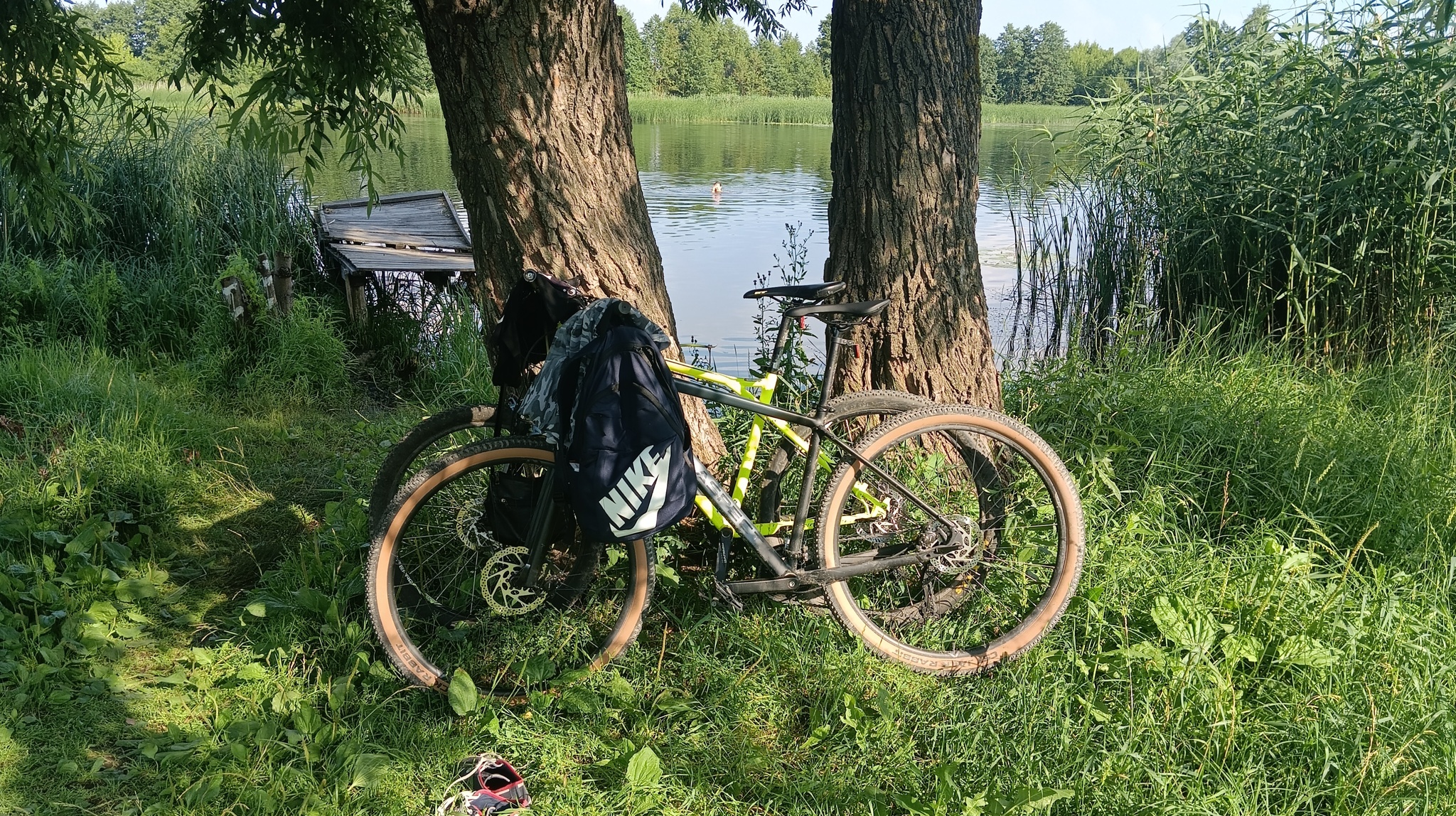 Season with Aspect - My, A bike, Cyclist, Longpost