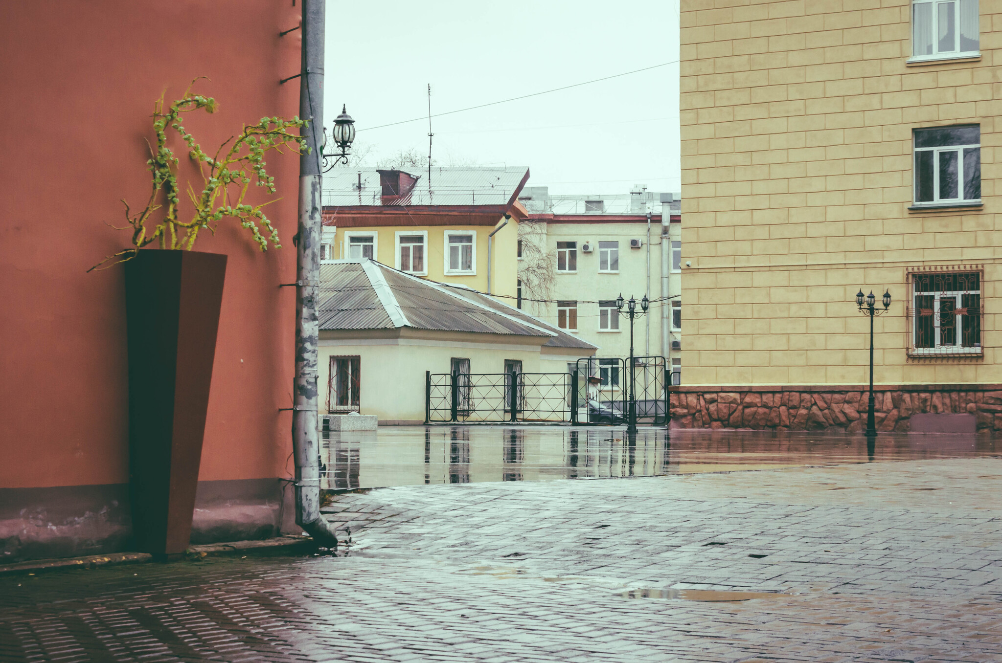 Kemerovo, Sovetsky Ave. - My, The photo, Town, Street photography, The street, Kemerovo, Autumn