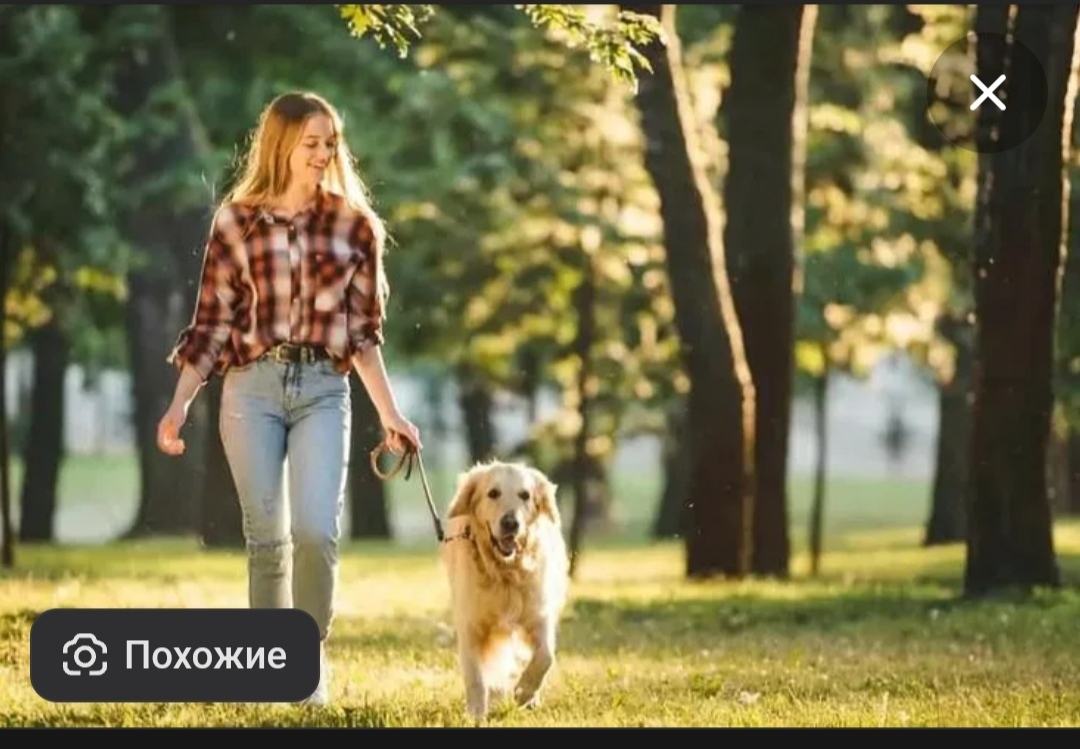 Про референсы - Моё, Арт, Художник, Я художник - я так вижу, Художник-Самоучка, Референс, Фотография, Длиннопост