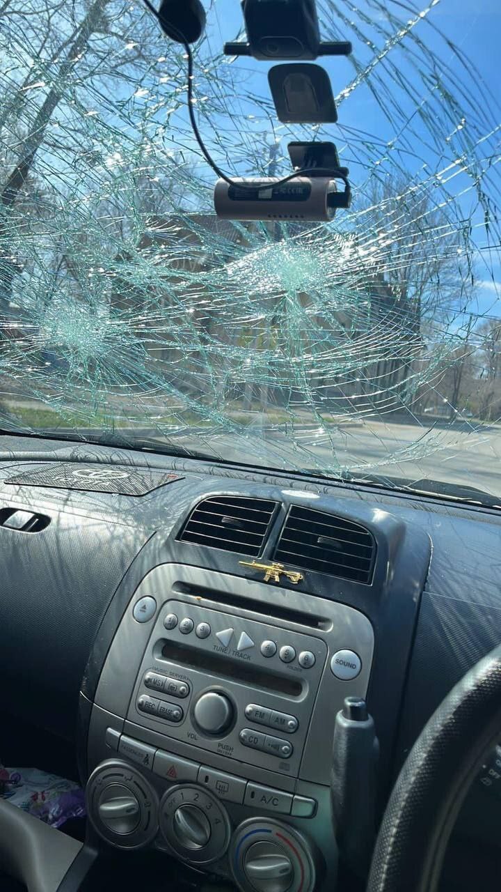 Animal rights activist throws stones at car with mother and child inside - Radical animal protection, Stray dogs, Osvv, Петиция, Dog attack, Video, Negative, Longpost