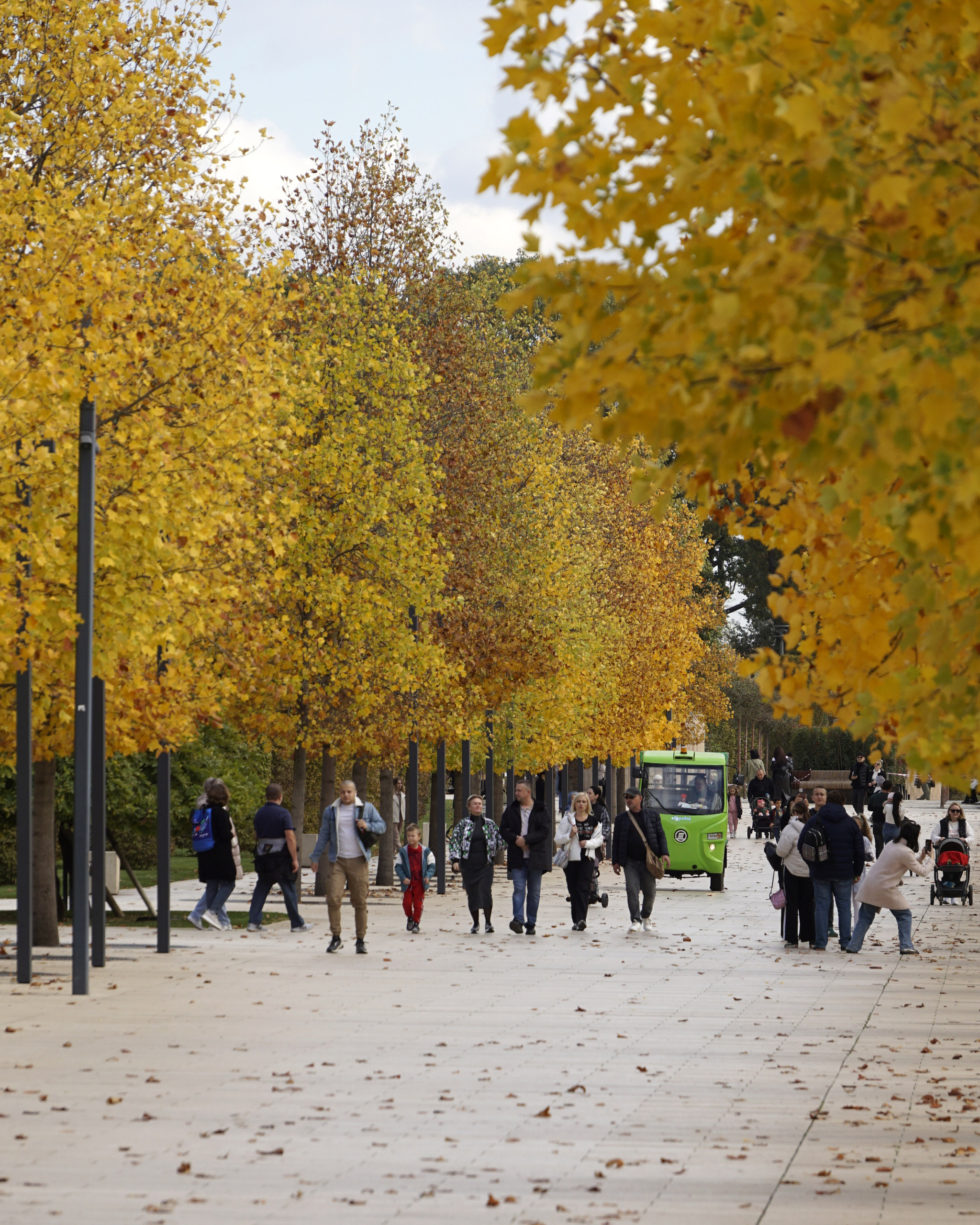 Hello November - My, Galitsky Park, Krasnodar Park, Autumn, Autumn leaves, Krasnodar, The photo, Longpost