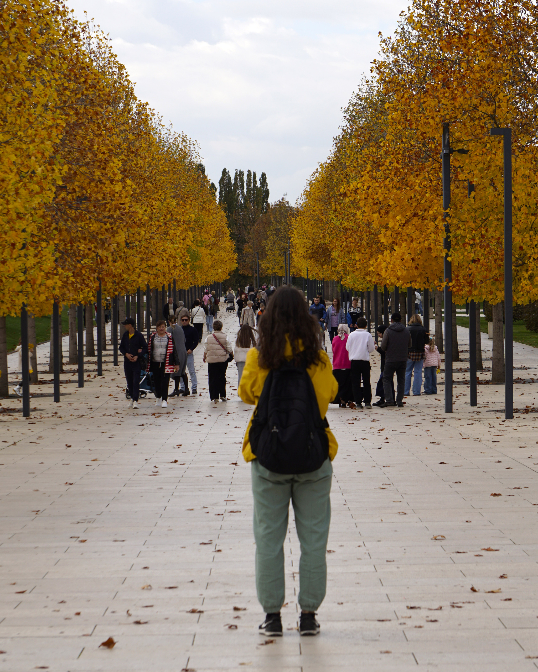 Hello November - My, Galitsky Park, Krasnodar Park, Autumn, Autumn leaves, Krasnodar, The photo, Longpost