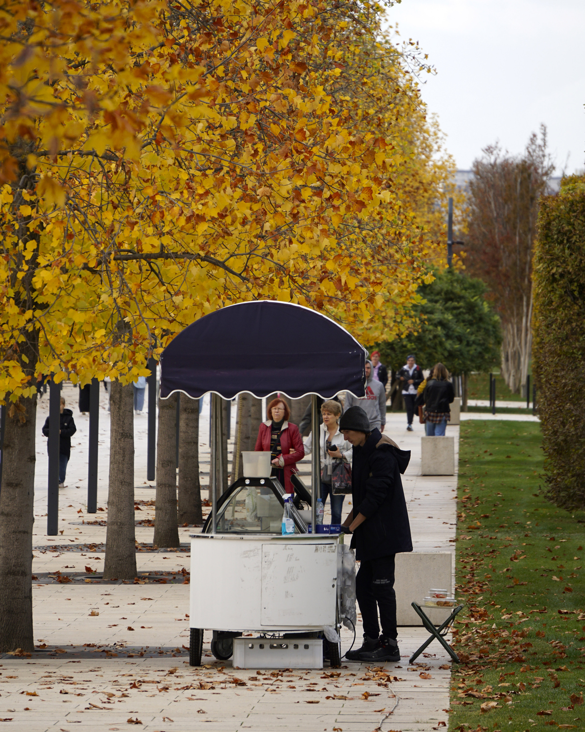 Hello November - My, Galitsky Park, Krasnodar Park, Autumn, Autumn leaves, Krasnodar, The photo, Longpost